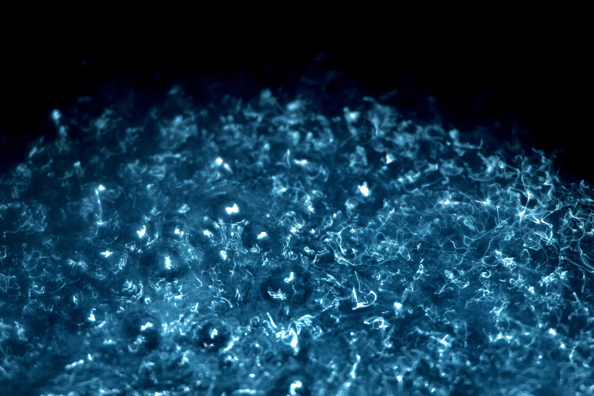 Art264_LauraSaxon_Project1_Final6 (2).jpg