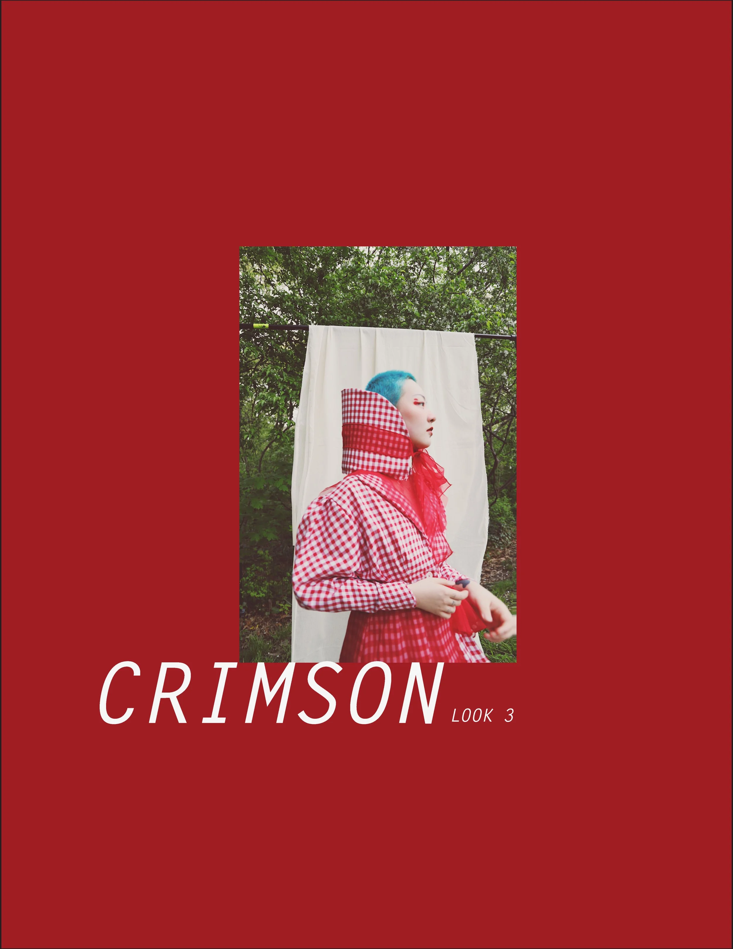 Nara Huang Portfolio 2021_Page_34.jpg