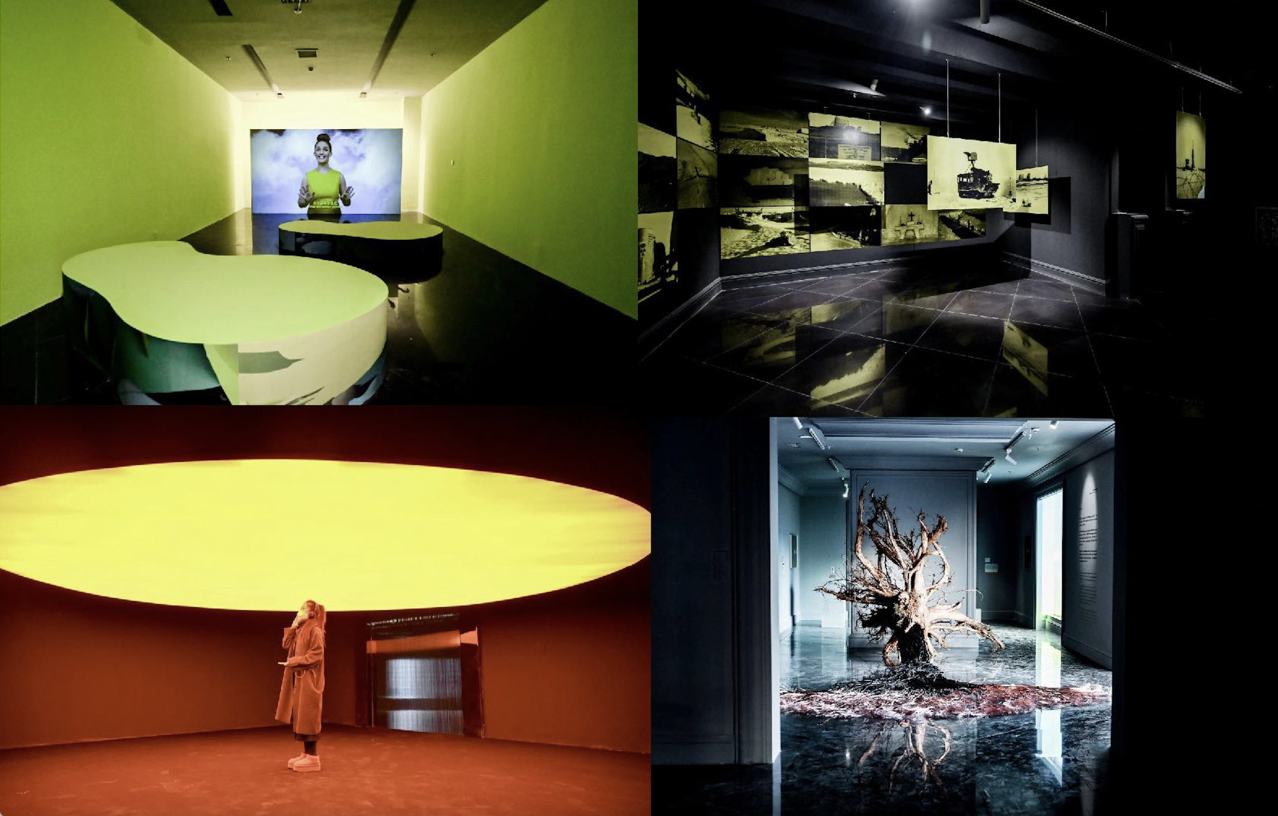 Screen Shot 2026-01-10 at 14.33.34.png