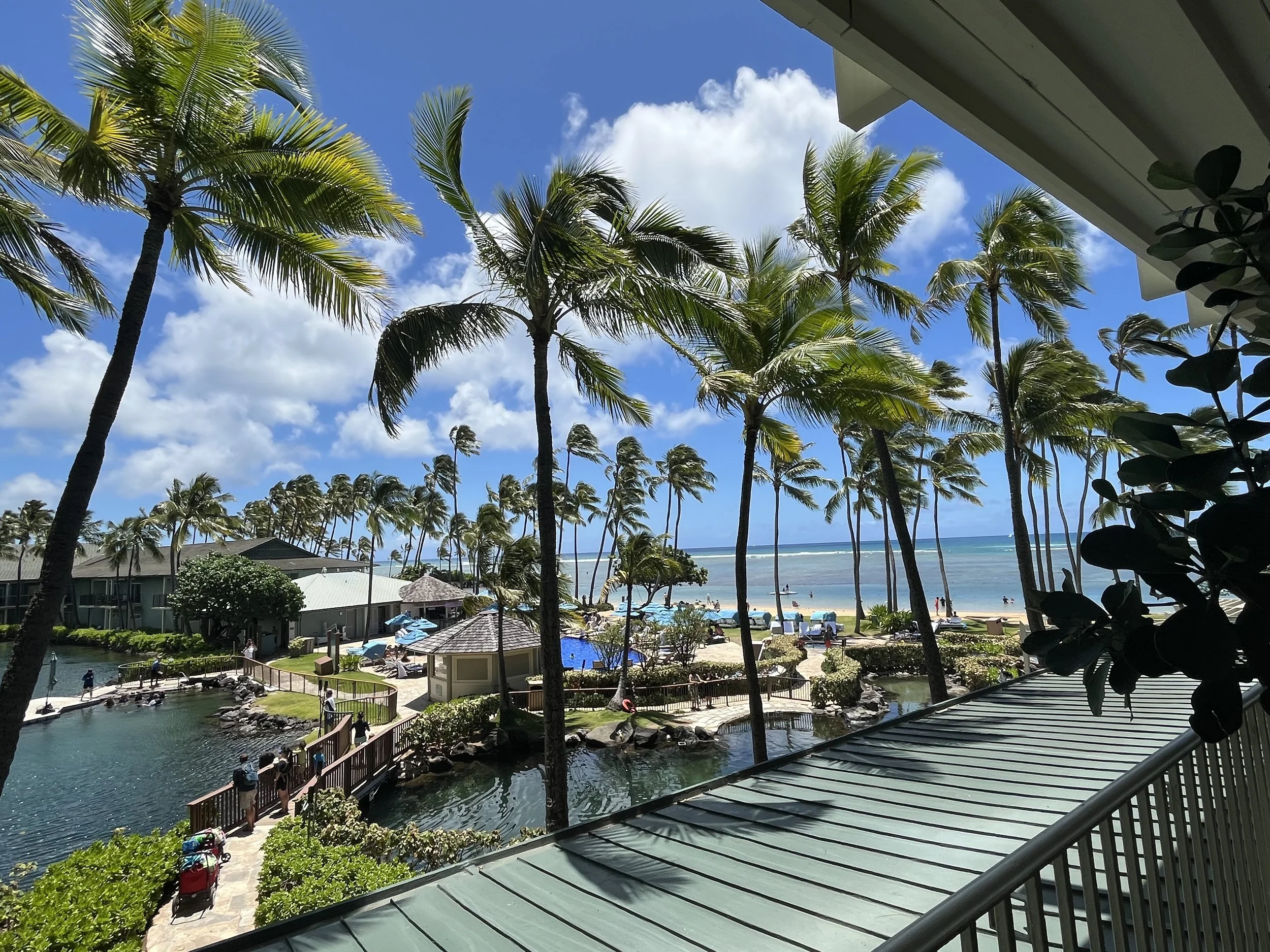 exterior view of the Kahala Resort's pool, lake, dolphin area and beach with swaying palm trees