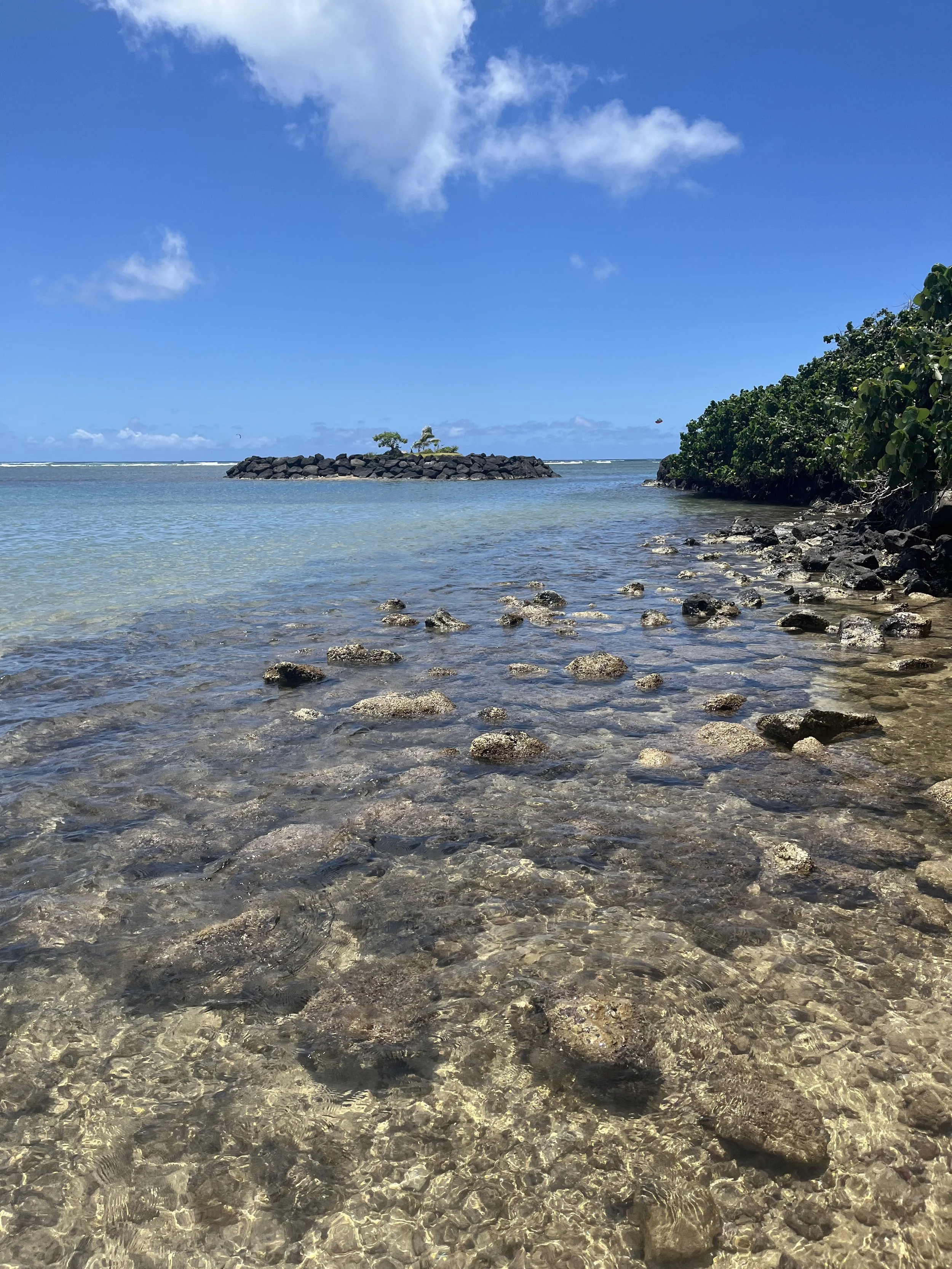 mini rock island right off of the cove area of the beach at Kahala Resort