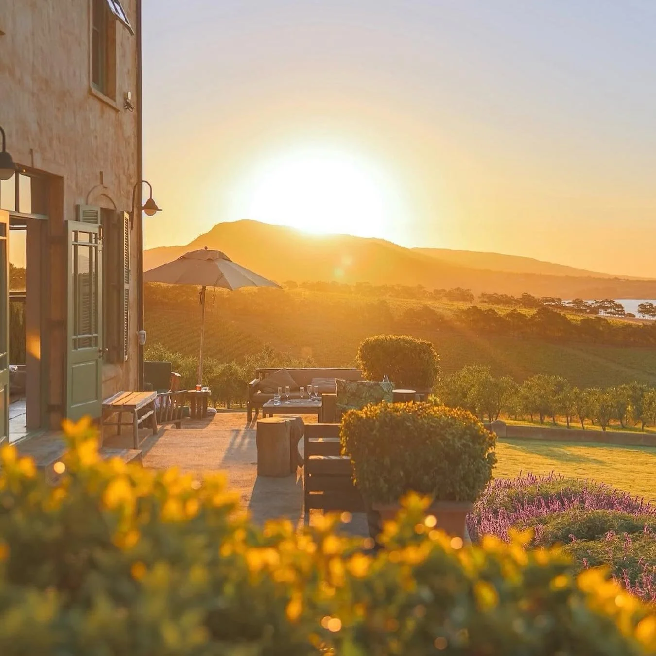 A beautiful sunset over a vineyard with outdoor seating, umbrellas, and a scenic landscape in the background. Private luxury villa (accommodation) in Hemel-en-Aarde, Hermanus.