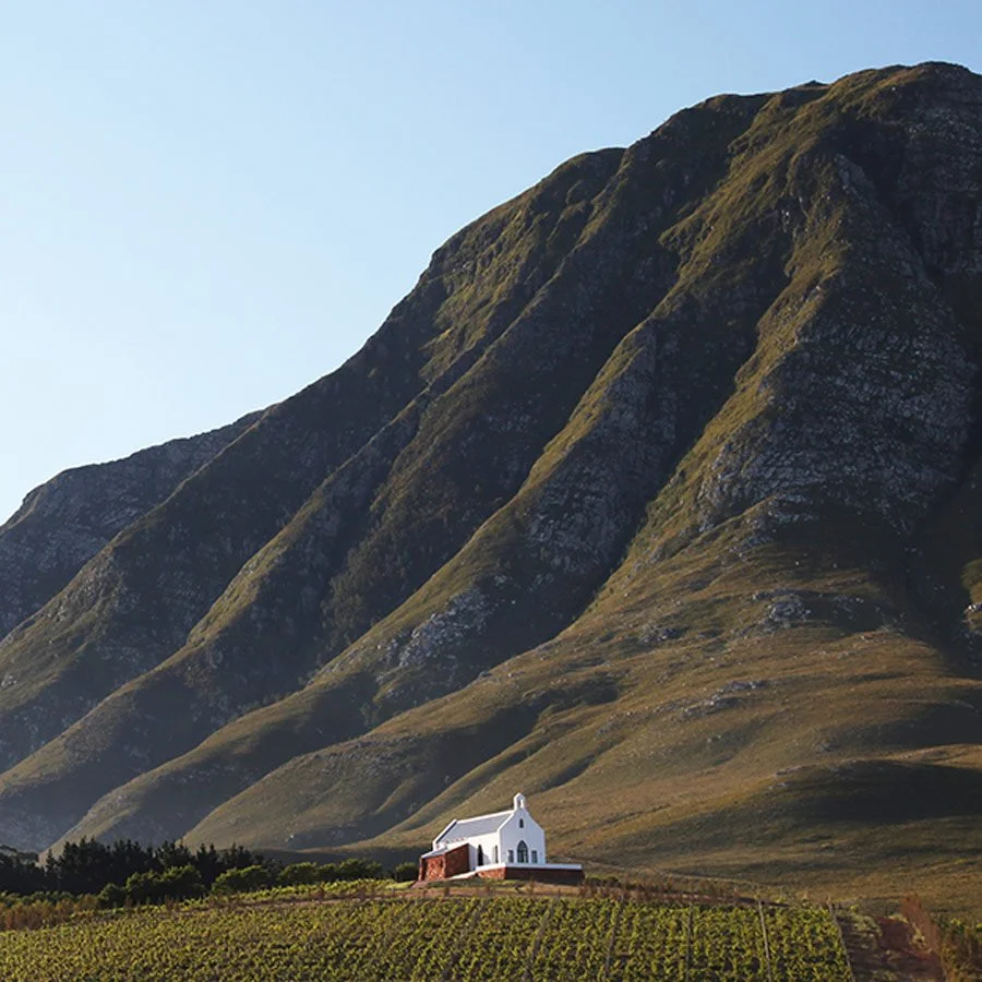 Enjoy wine tasting in the Hemel-en-Aarde valley in Hermanus
