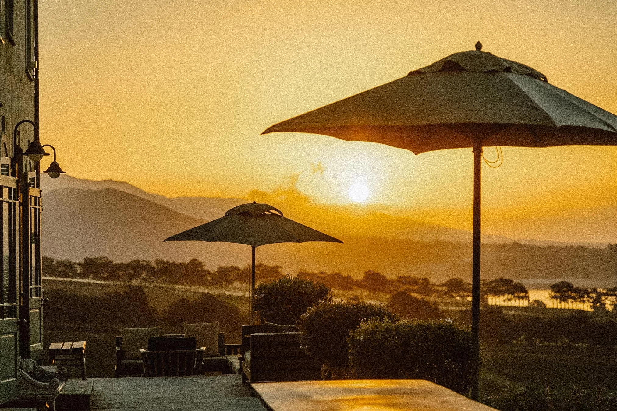 Moyas-Vineyard-MvR-2026-02-Sunset-013.jpg