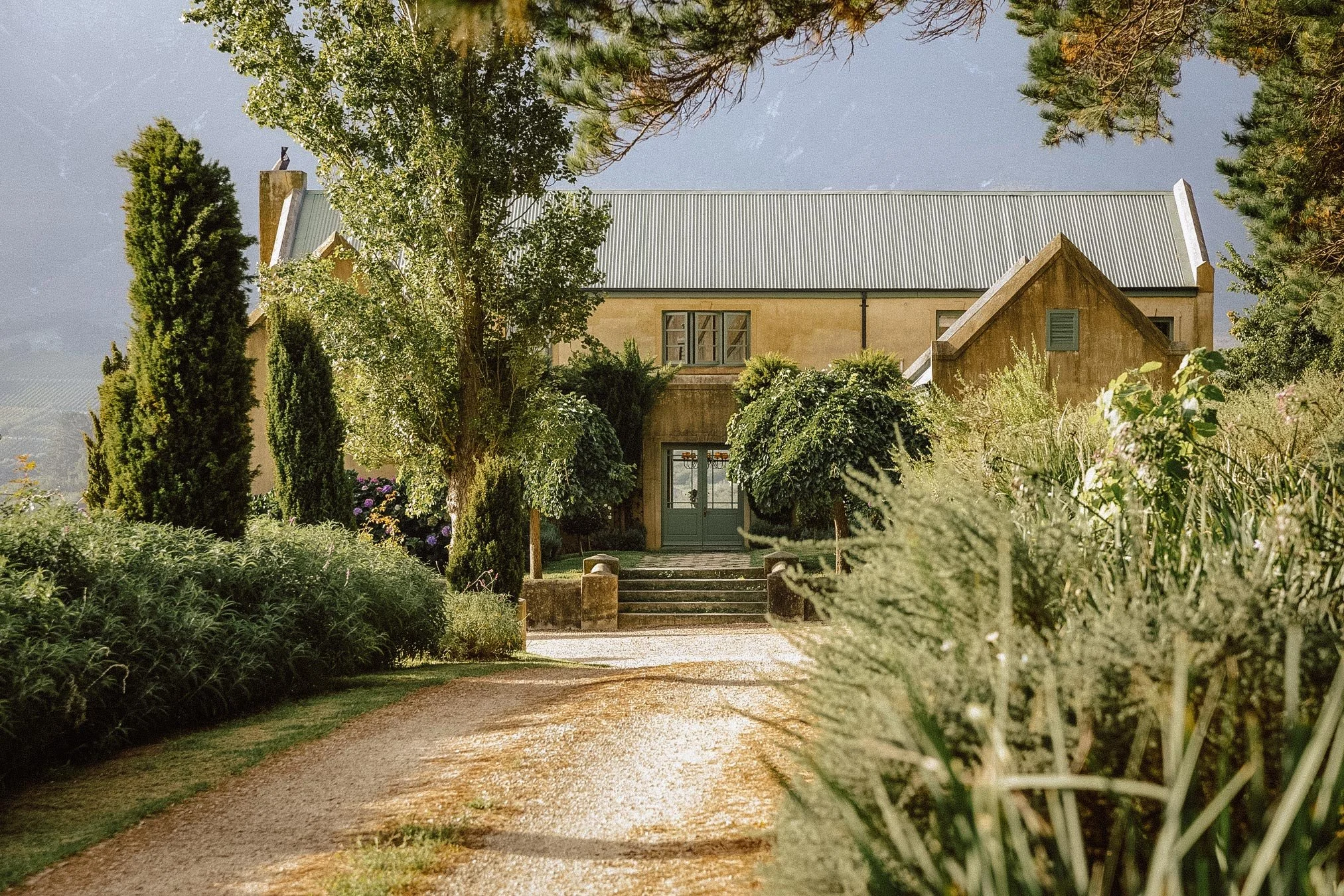 Moyas-Vineyard-MvR-2026-02-Exterior-021.jpg