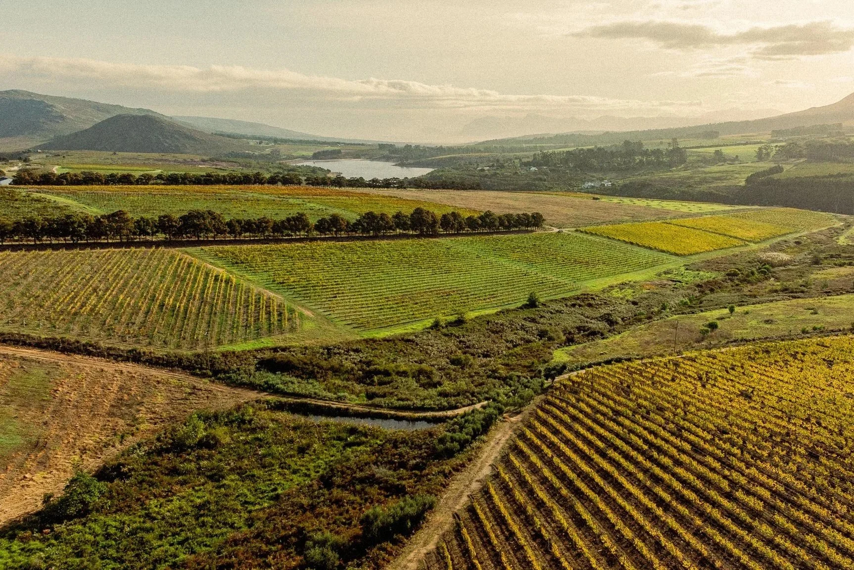 HemelenAarde-233.jpg
