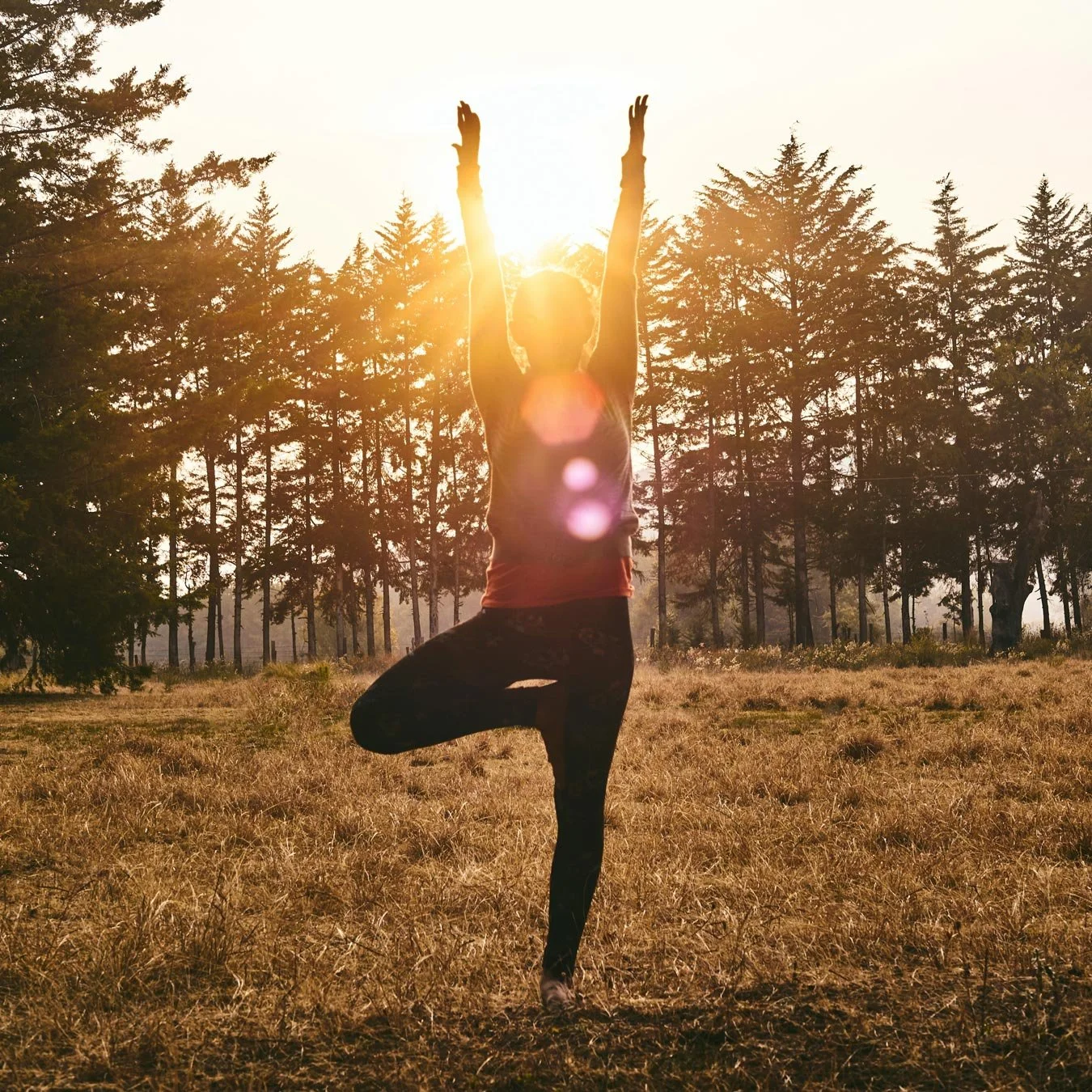 Moyas-Vineyard-Experience-Yoga-web.jpg