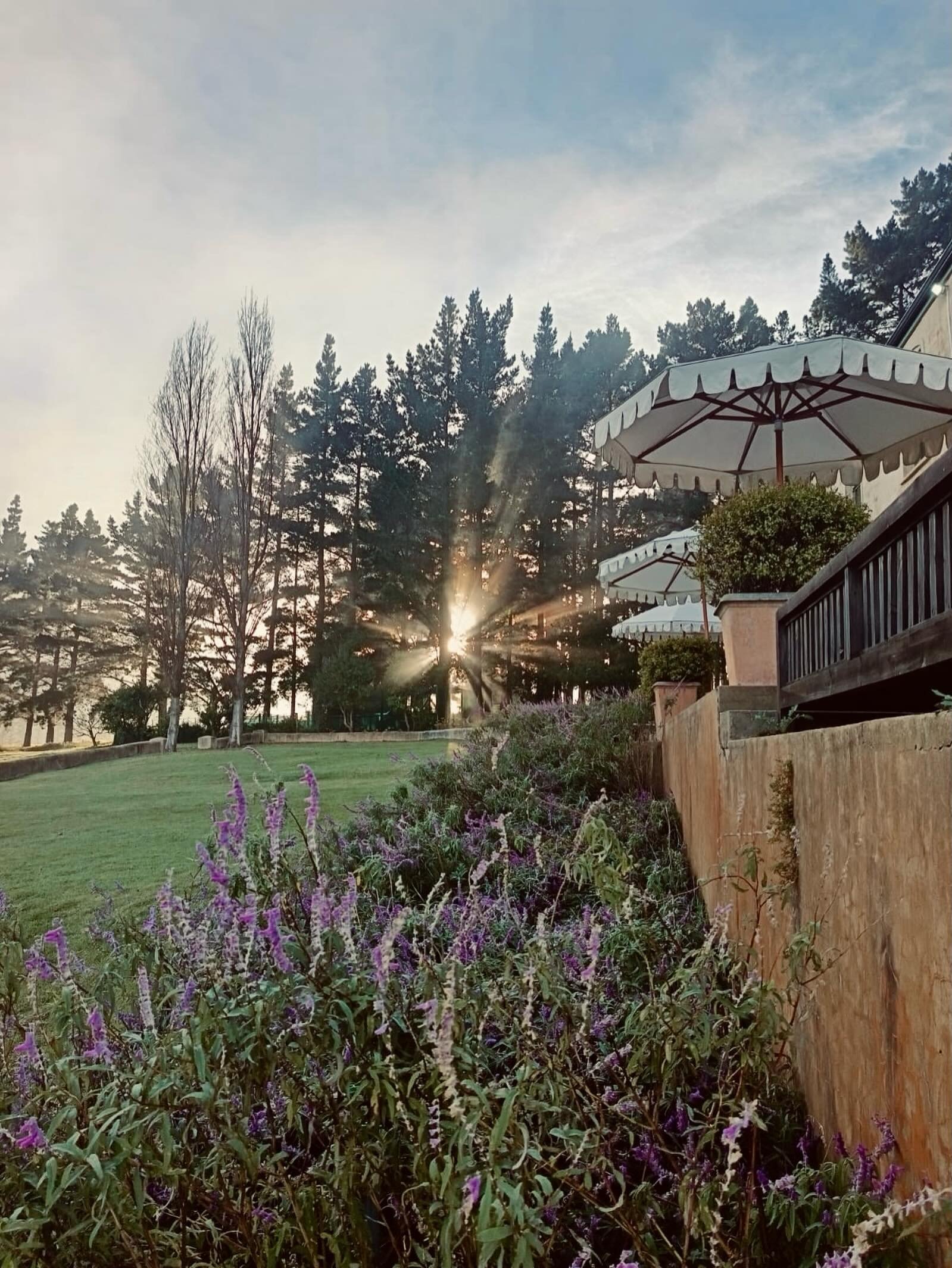 There is something special about the mornings of celebration days at Moyas&hellip;.

The valley wakes up slowly, and everything starts to feel a little more magical ✨