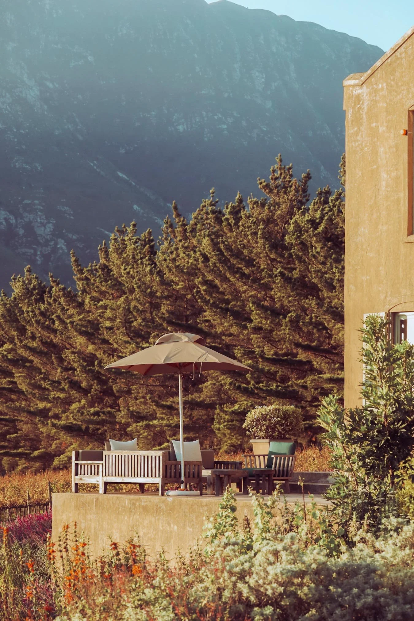 An outdoor patio with a wooden bench, chairs, and a large beige umbrella, surrounded by lush plants and trees, with mountains in the background. Private luxury villa (accommodation) in Hemel-en-Aarde, Hermanus.