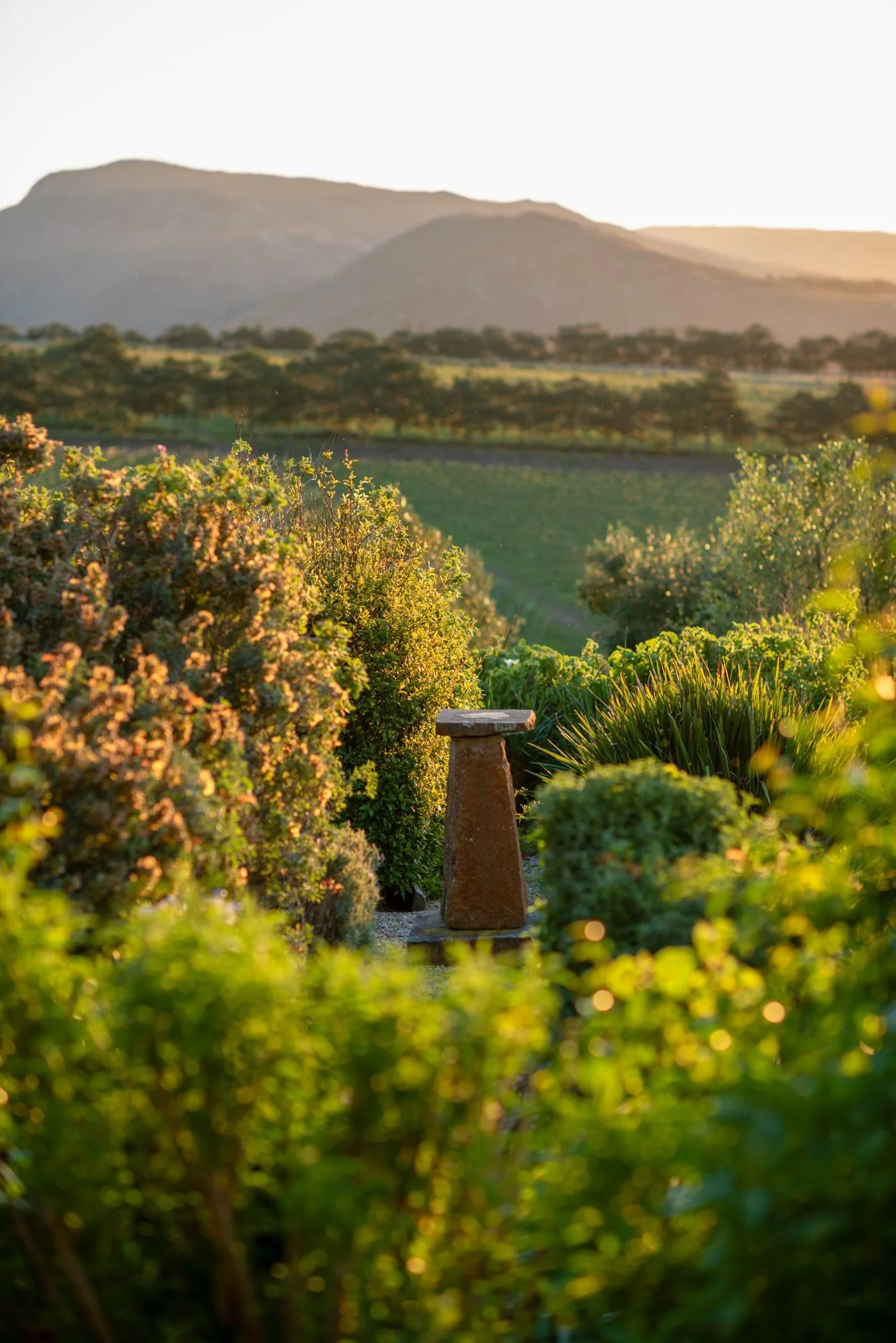 Landscape view of distant mountains with lush greenery and shrubs in the foreground, illuminated by warm sunlight. Private luxury villa (accommodation) in Hemel-en-Aarde, Hermanus.