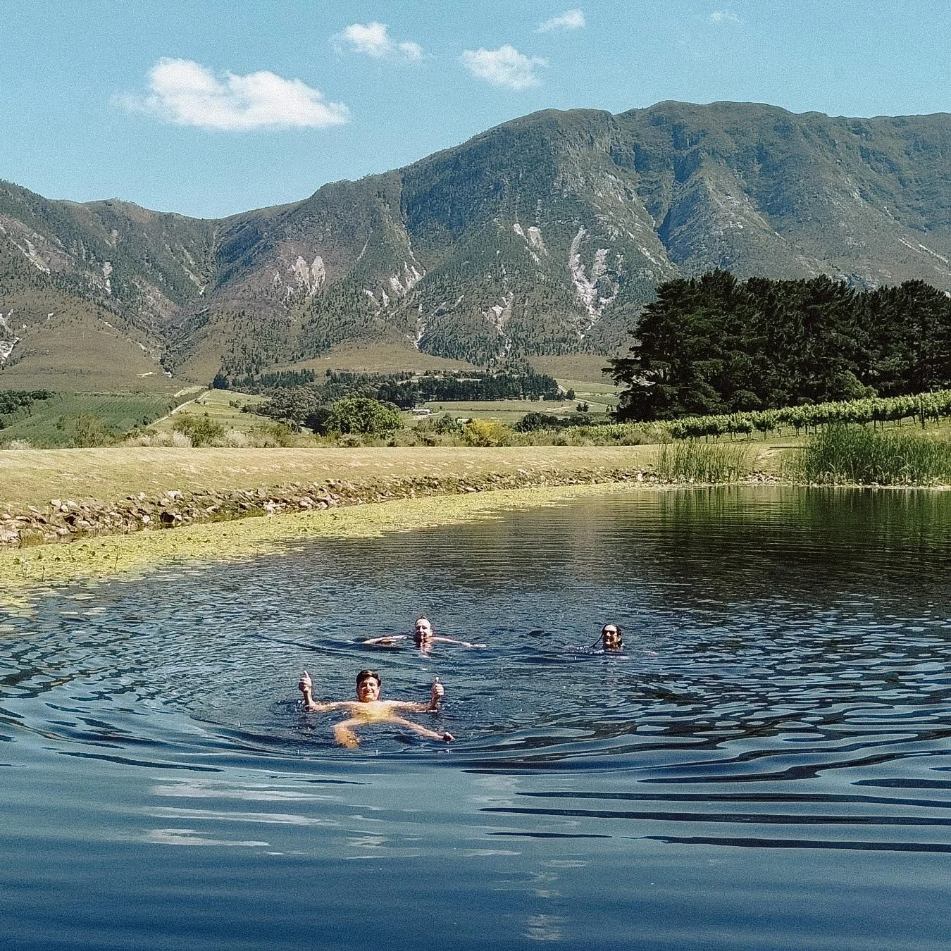Three people swimming in a dam with mountains and trees in the background under a blue sky. Private luxury villa (accommodation) in Hemel-en-Aarde, Hermanus.