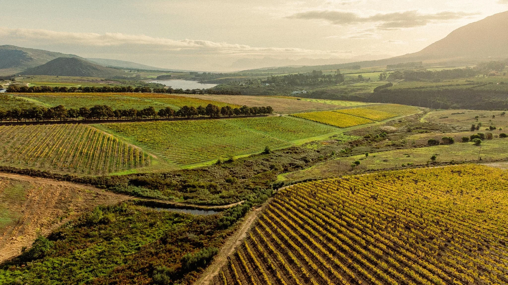 A vast landscape of rolling hills with agricultural fields, vineyards, and patches of trees under a cloudy sky, with mountains in the distance. Private luxury villa (accommodation) in Hemel-en-Aarde, Hermanus.