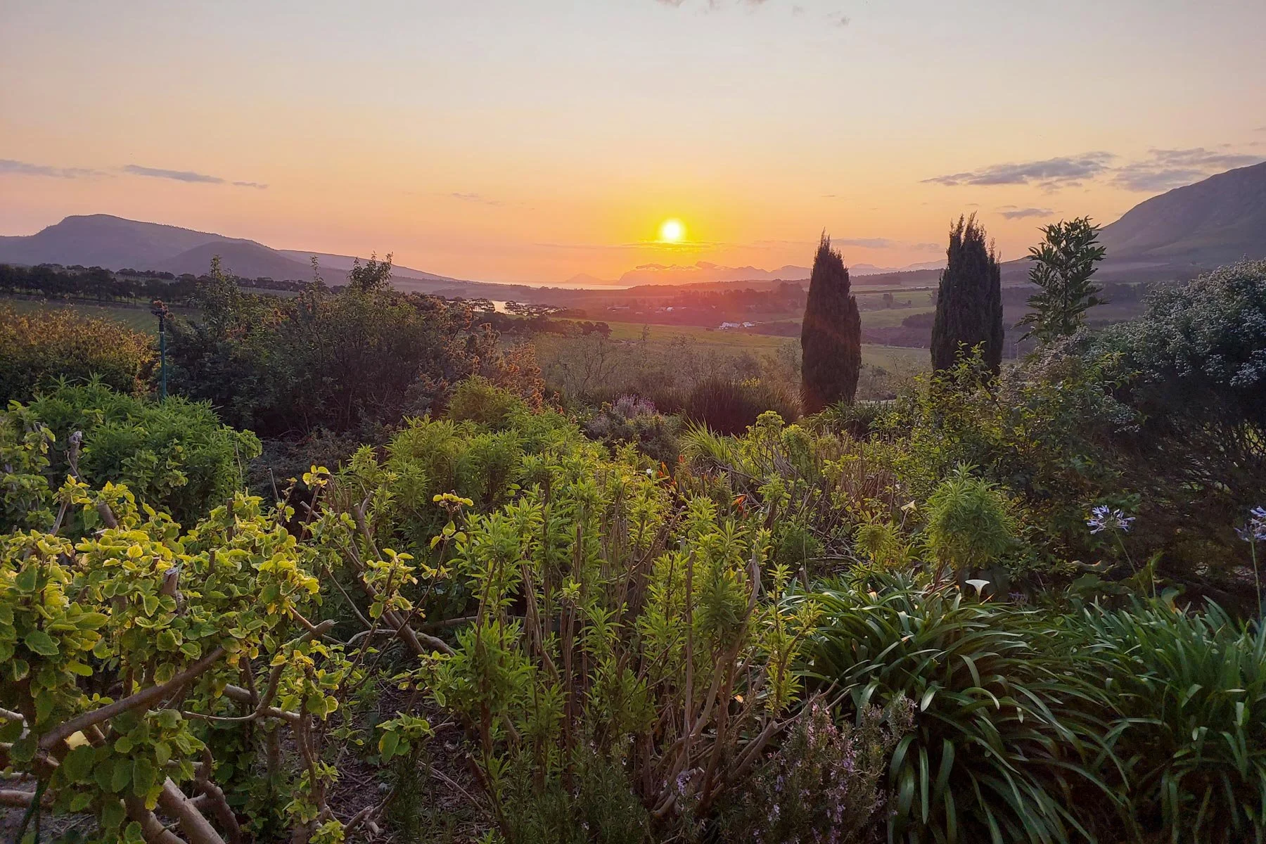 A scenic sunset over a green landscape with trees, shrubs, and mountains in the distance. Private luxury villa (accommodation) in Hemel-en-Aarde, Hermanus.
