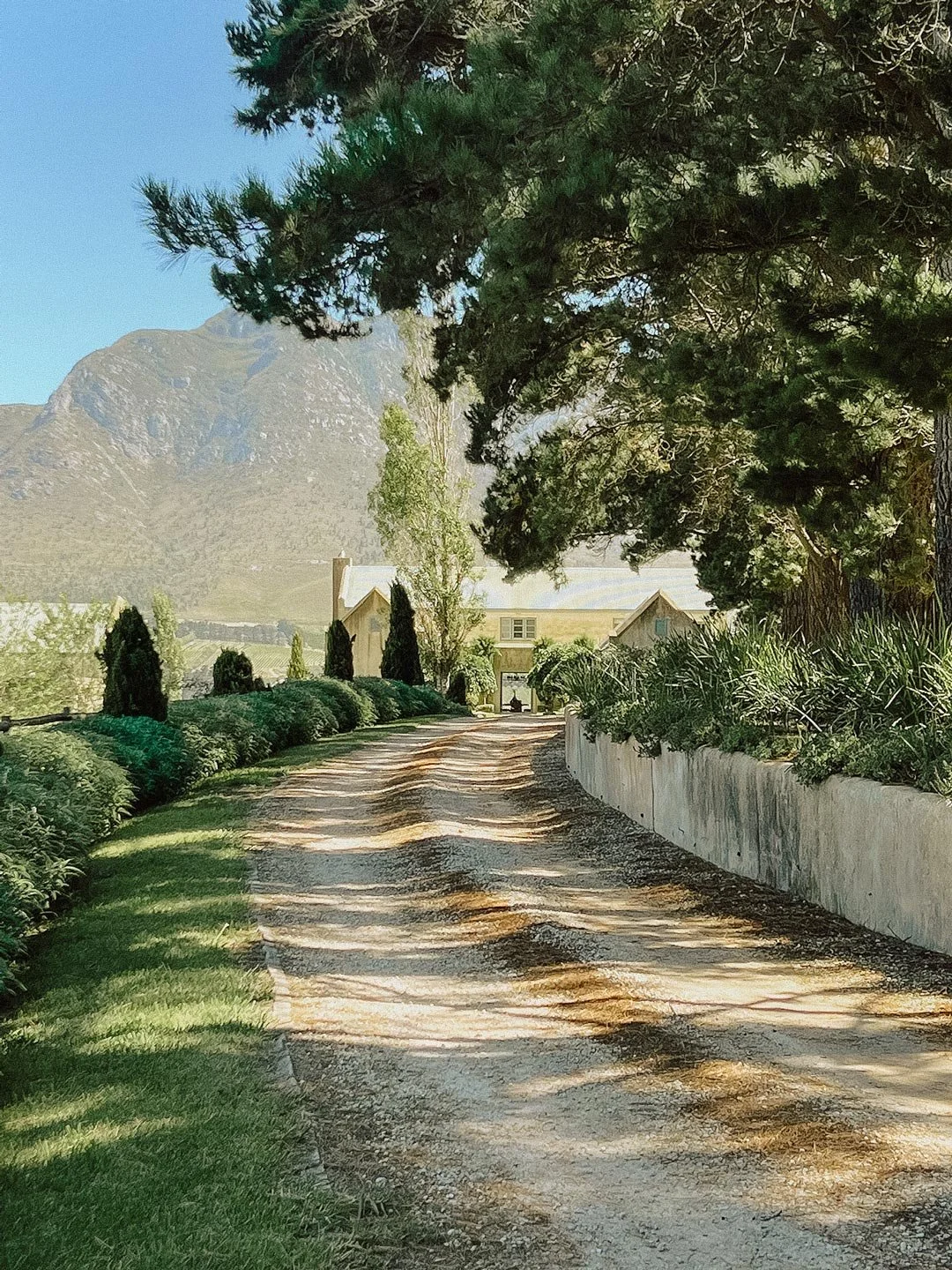 A dirt driveway lined with grass and bushes leads to a house, with hills and mountains in the background, surrounded by trees and greenery in a rural setting. Private luxury villa (accommodation) in Hemel-en-Aarde, Hermanus.