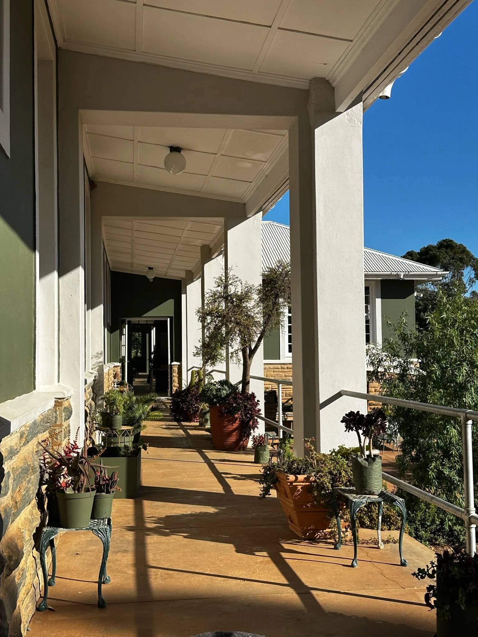 Sunlit porch with potted plants and trees, featuring a green and white exterior, decorative chairs, and a clear blue sky