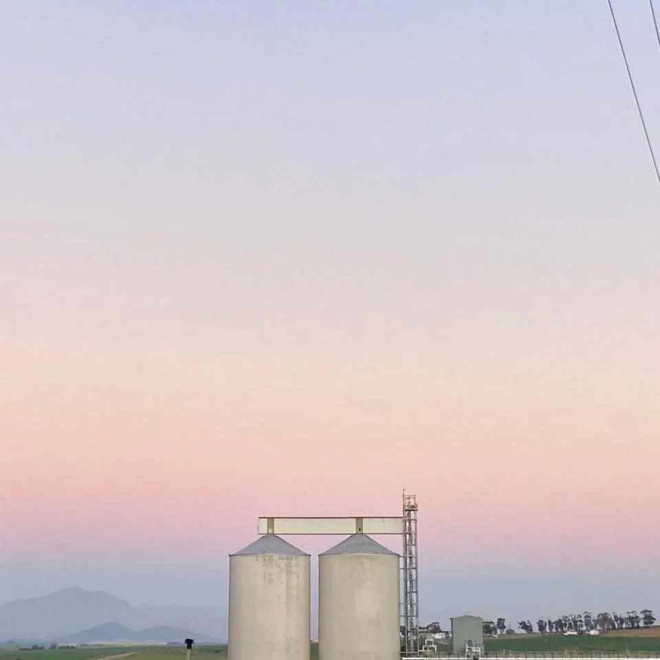 Two large white grain silos in a flat rural landscape at dusk with a pink and blue sky and mountains in the background.