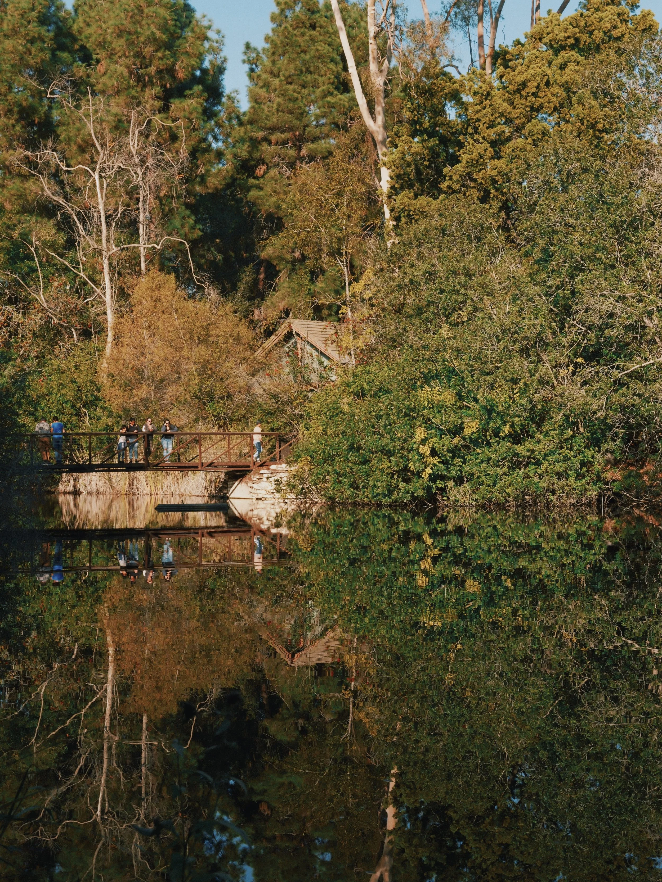 FullSizeRender_VSCO (3).jpg