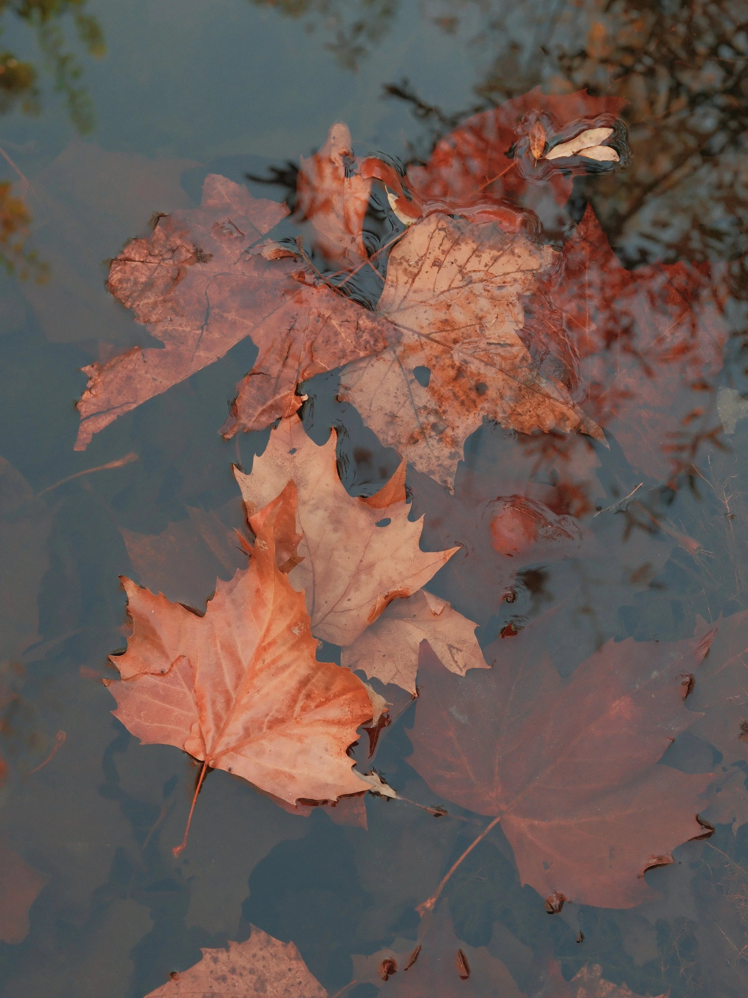 FullSizeRender_VSCO (2).jpg