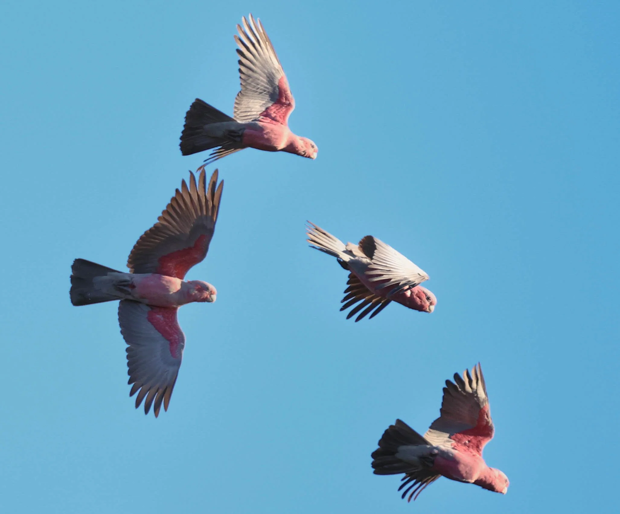 FOURSOME (1 of 1).jpg