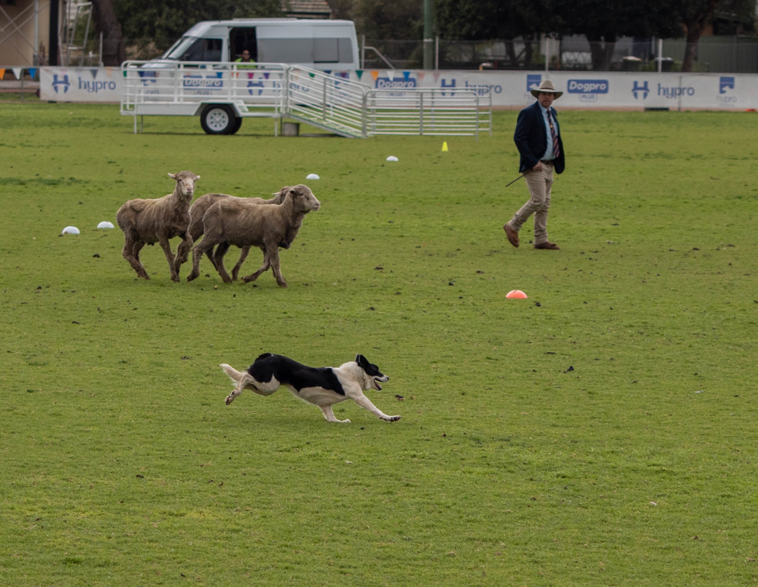 loving it (1 of 1).jpg