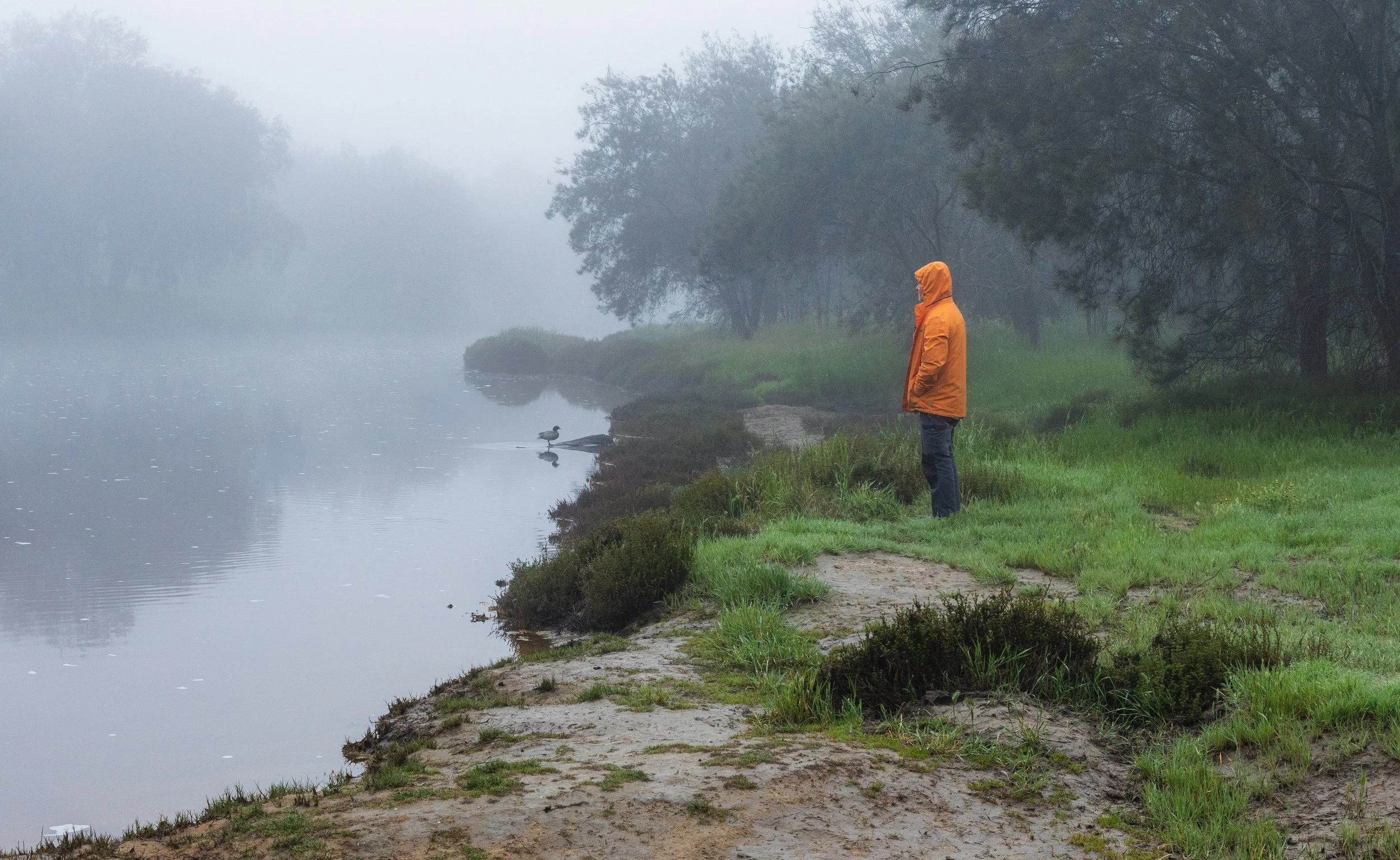 selfie with duck (1 of 1).jpg