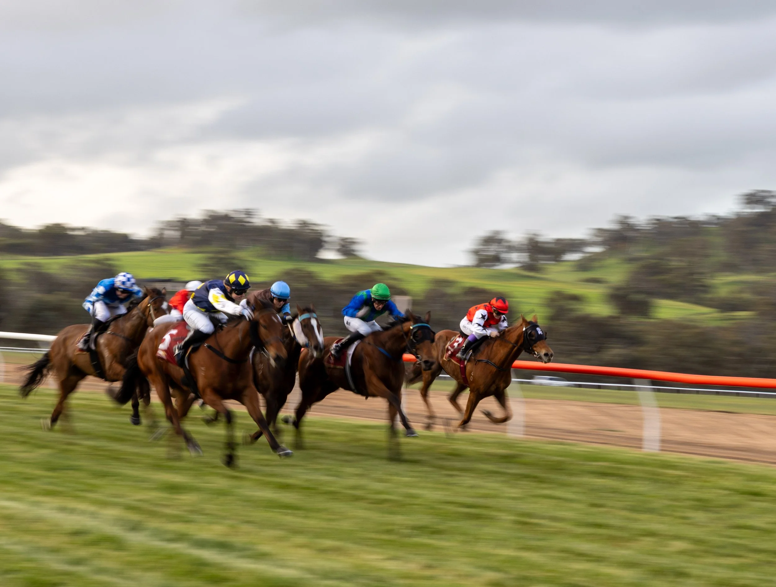 warp speed horses (1 of 1).jpg