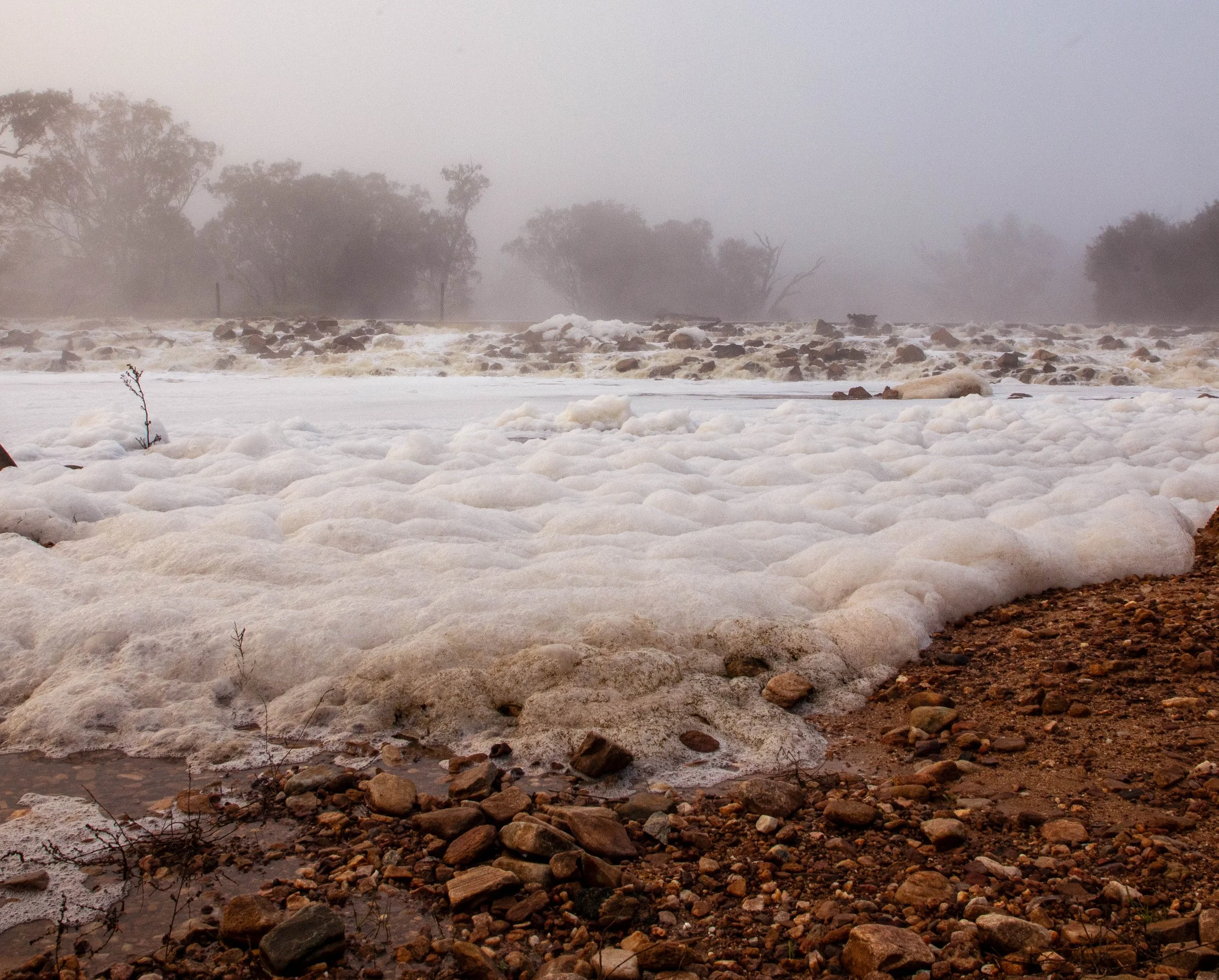 Extracts Weir - a low perspective (1 of 1) (002).jpg