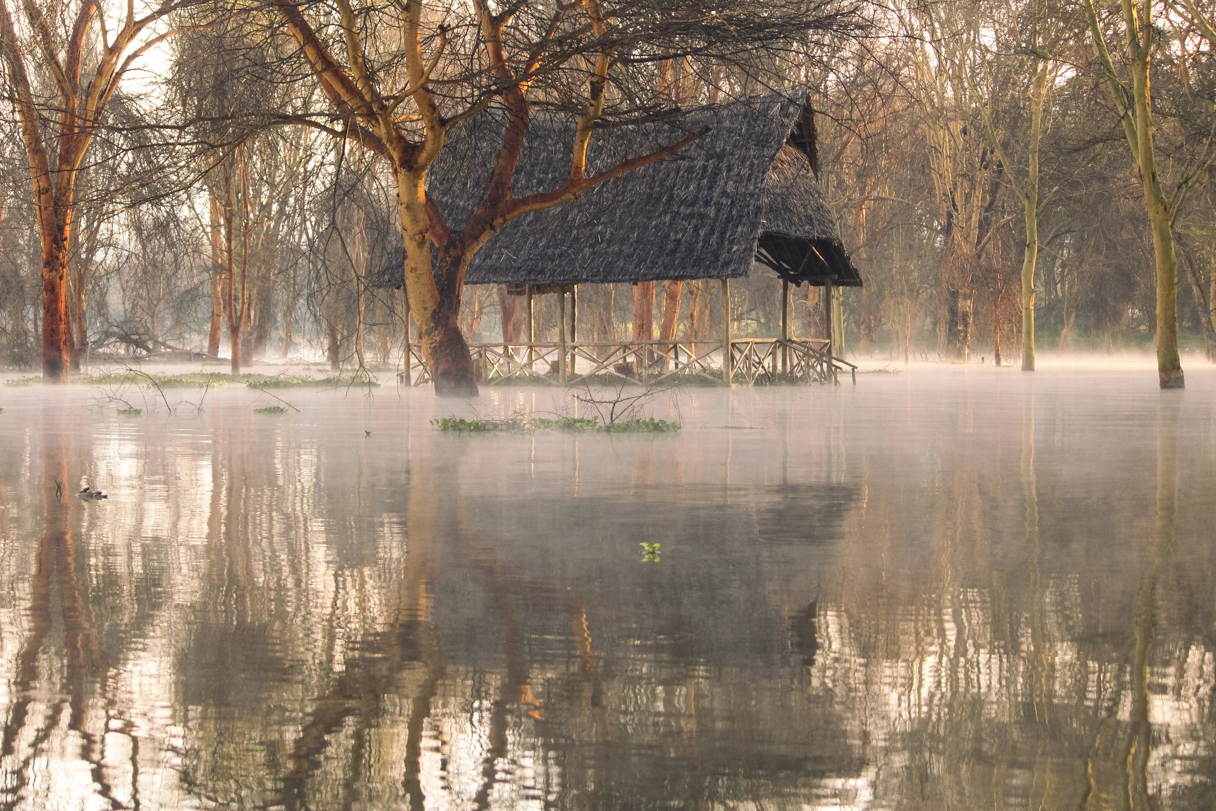 LAKE NAKURU (1 of 1).jpg