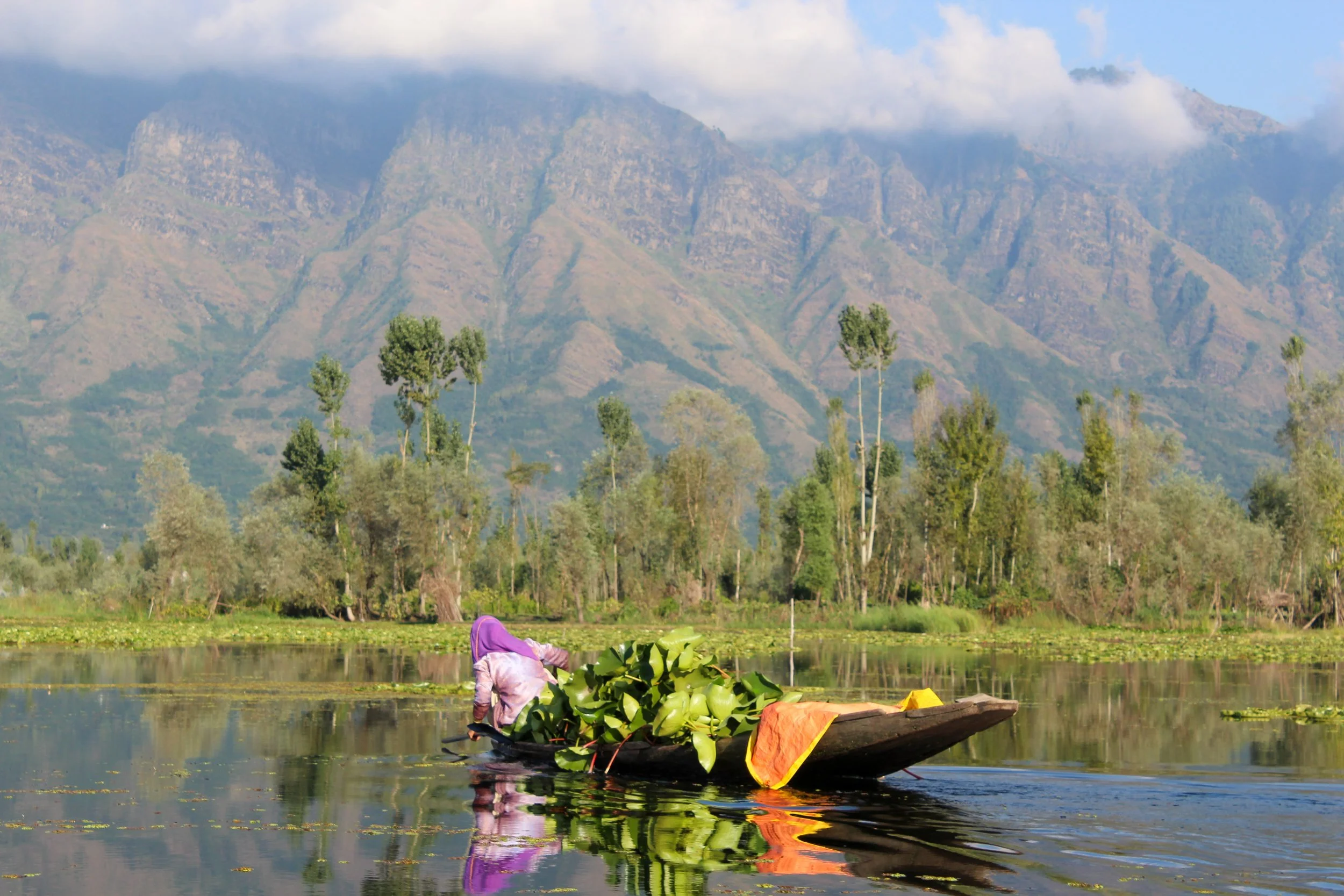 WORKING ON DAL LAKE (1 of 1).jpg