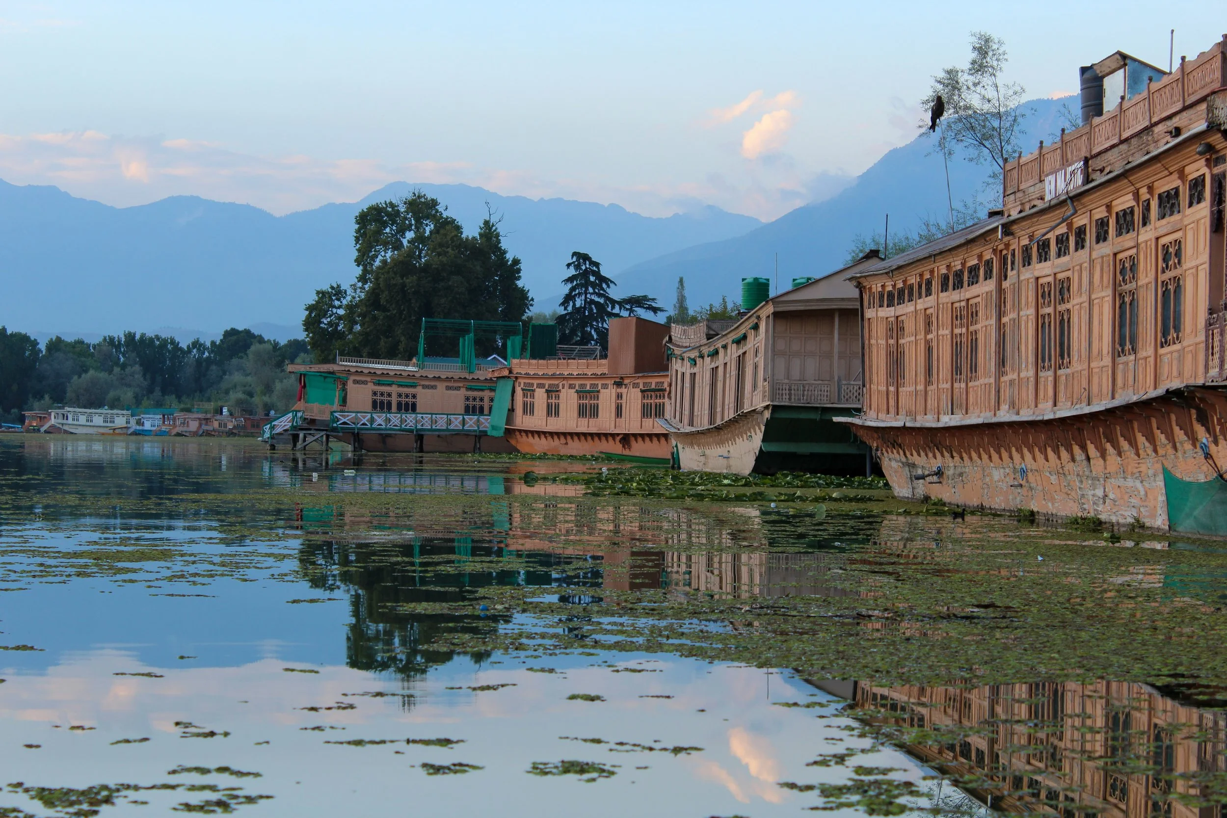 HOUSEBOATS (1 of 1).jpg