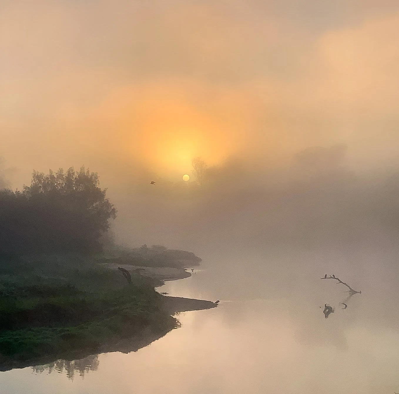 great great redbank sunrise (1 of 1).jpg