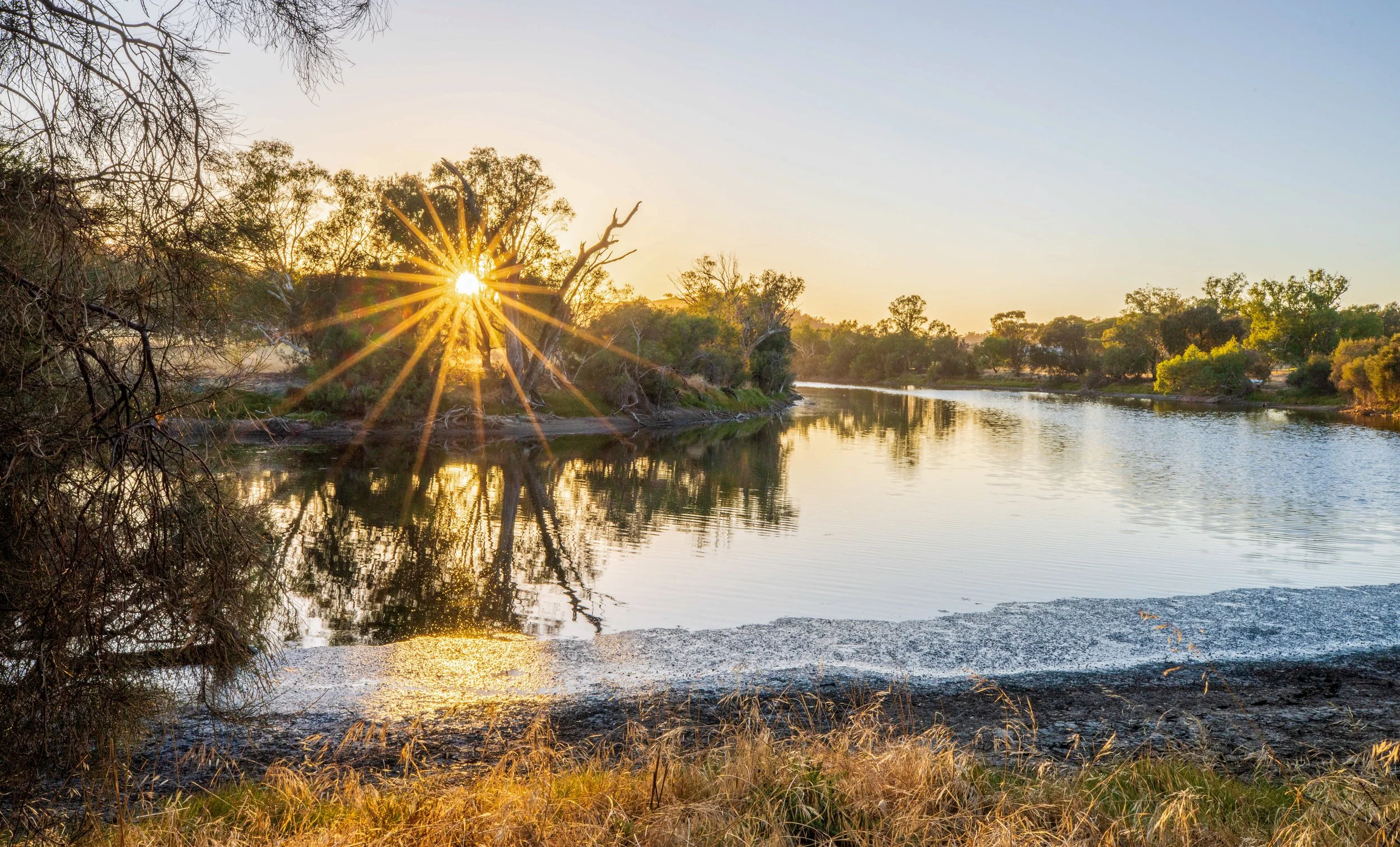 SUNSTAR AT MILLARDS POOL (1 of 1).jpg