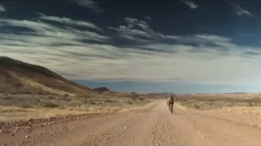 RHINO FRIEND | "CYCLE ADVENTURE"
