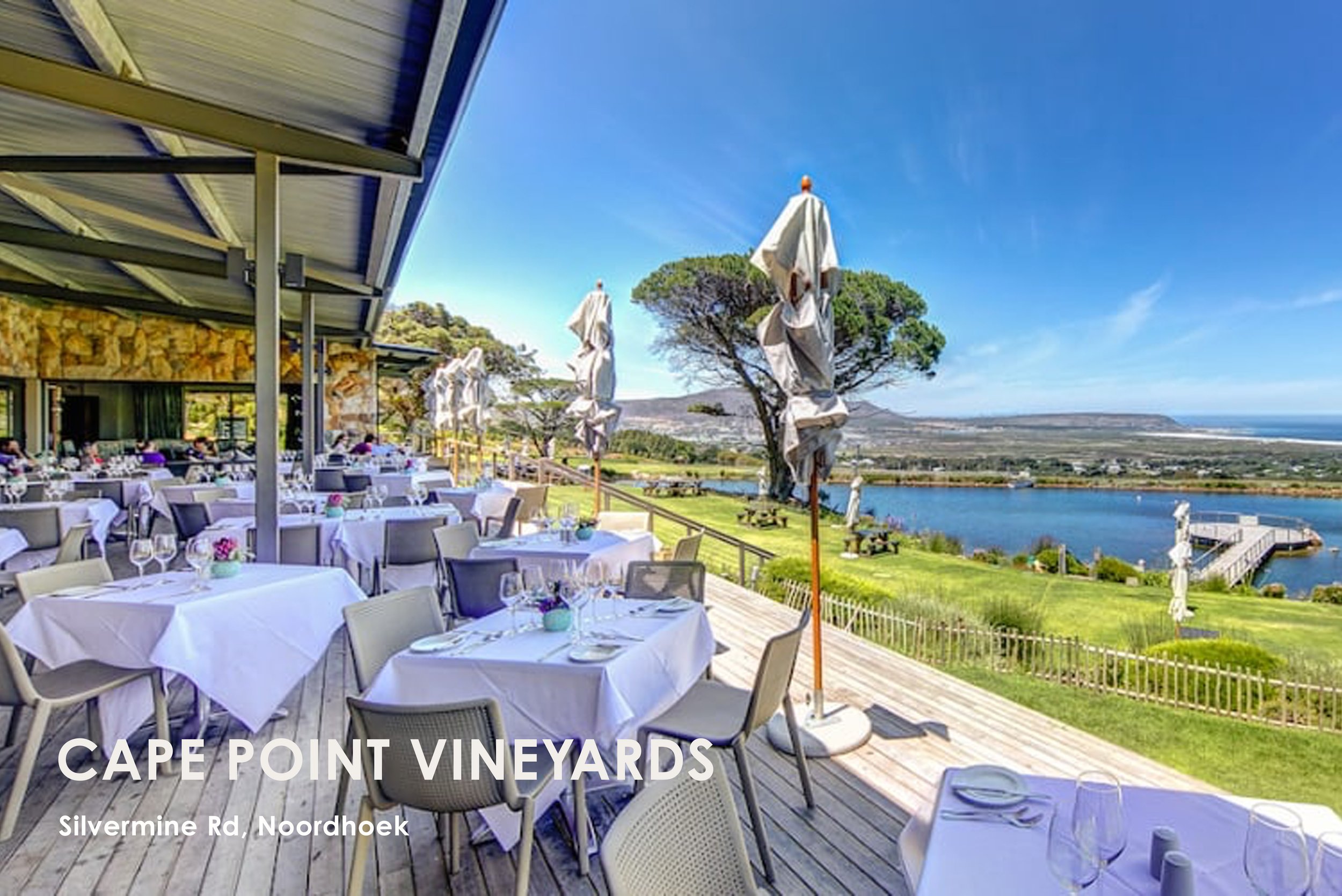 Tucked between the rolling Atlantic waves and the majestic outline of Table Mountain, Cape Point Vineyards is a slice of heaven just outside Cape Town. Here, world-class wines, mouthwatering cuisine, and breathtaking views come together in perfect ha