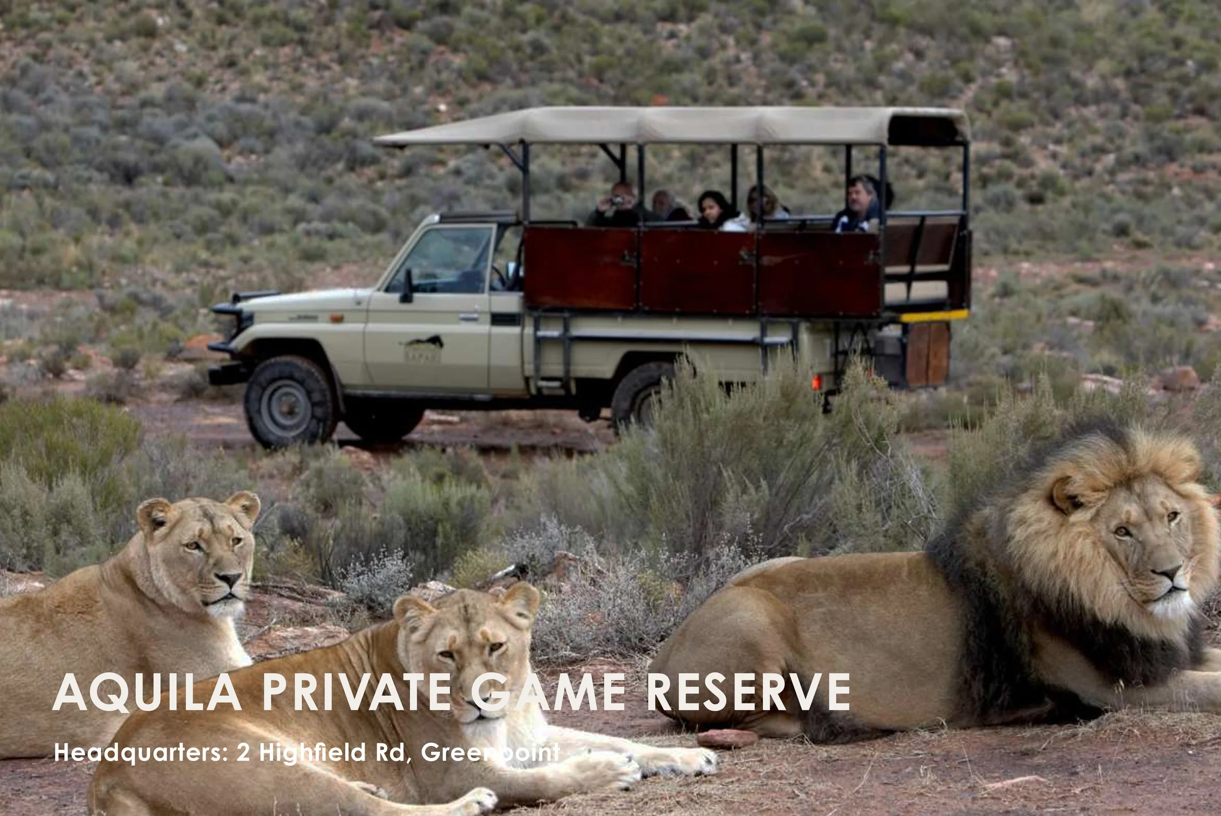 Experience an unforgettable African safari at Aquila Private Game Reserve, located just under two hours from Cape Town. Set against the stunning Langeberg and Outeniqua Mountains, this family-friendly reserve is home to the Big 5 - lions, elephants, 