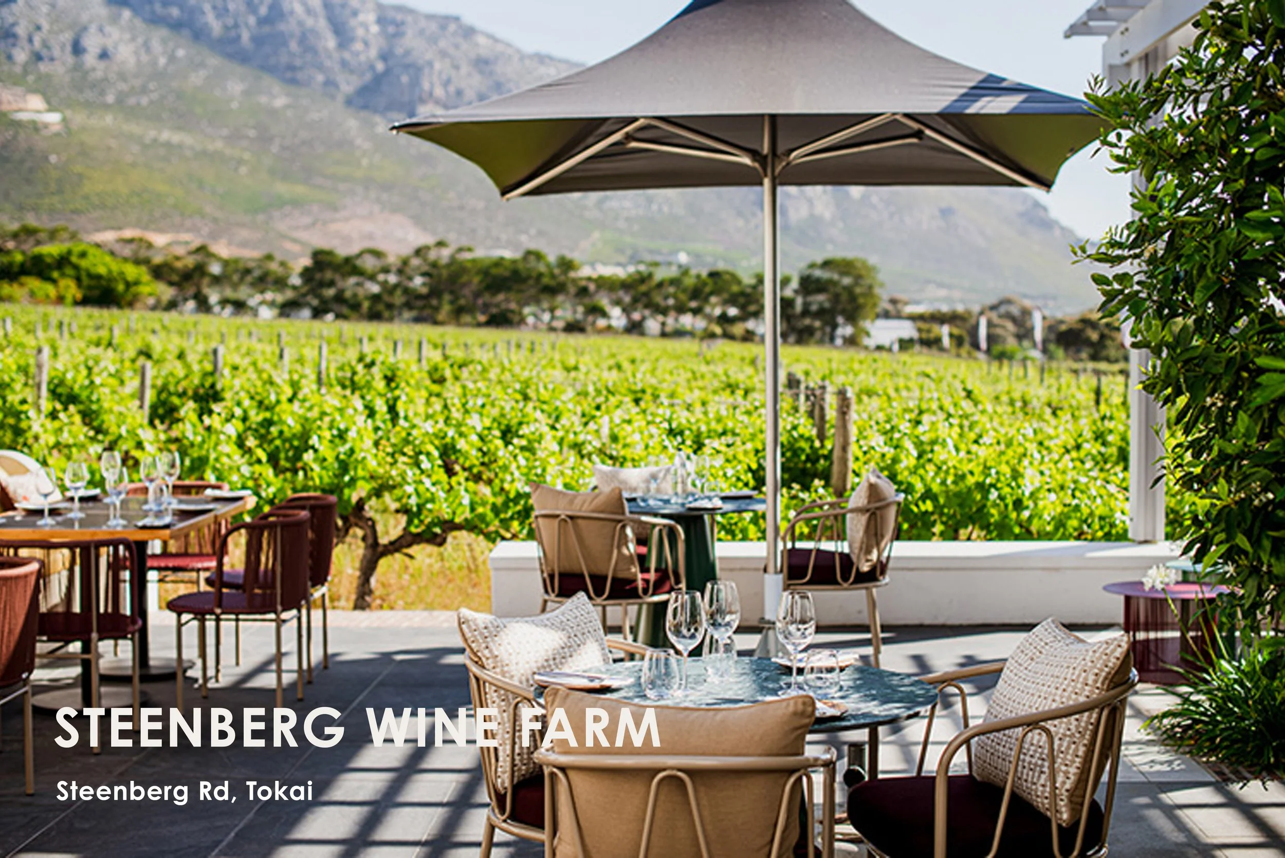 Most people head to Steenberg for their bubbly tastings and for its Instagramability (it’s a word now).  On top of that, it boasts a hotel, spa, golf club, and two amazing restaurants, Tryn and Bistro Sixteen82.