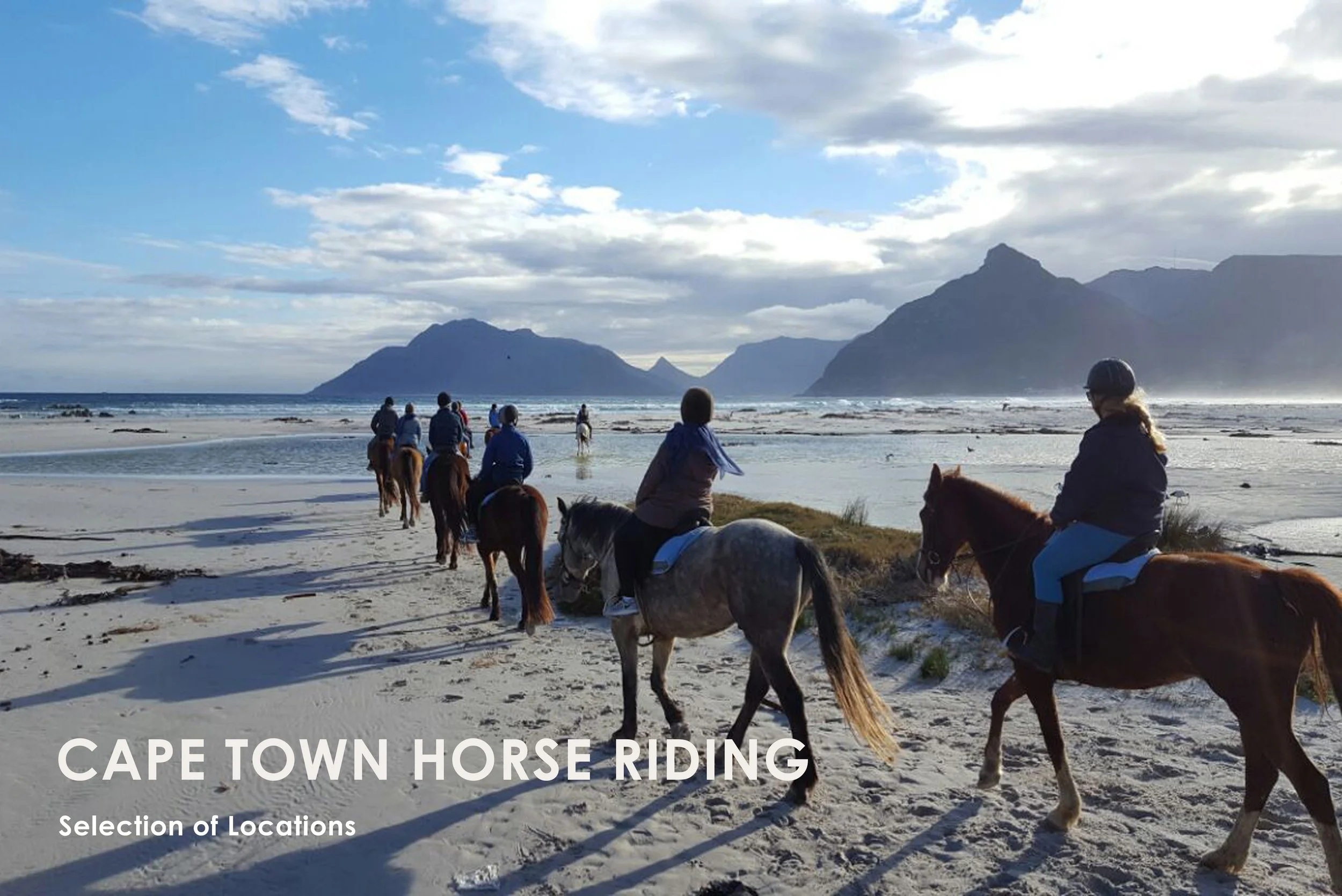 Welcome to Horse Riding Cape Town, where we specialise in providing exceptional horse riding experiences throughout the Western Cape Province of South Africa. Whether you're a beginner or seasoned rider, our carefully crafted horse trails promise unf