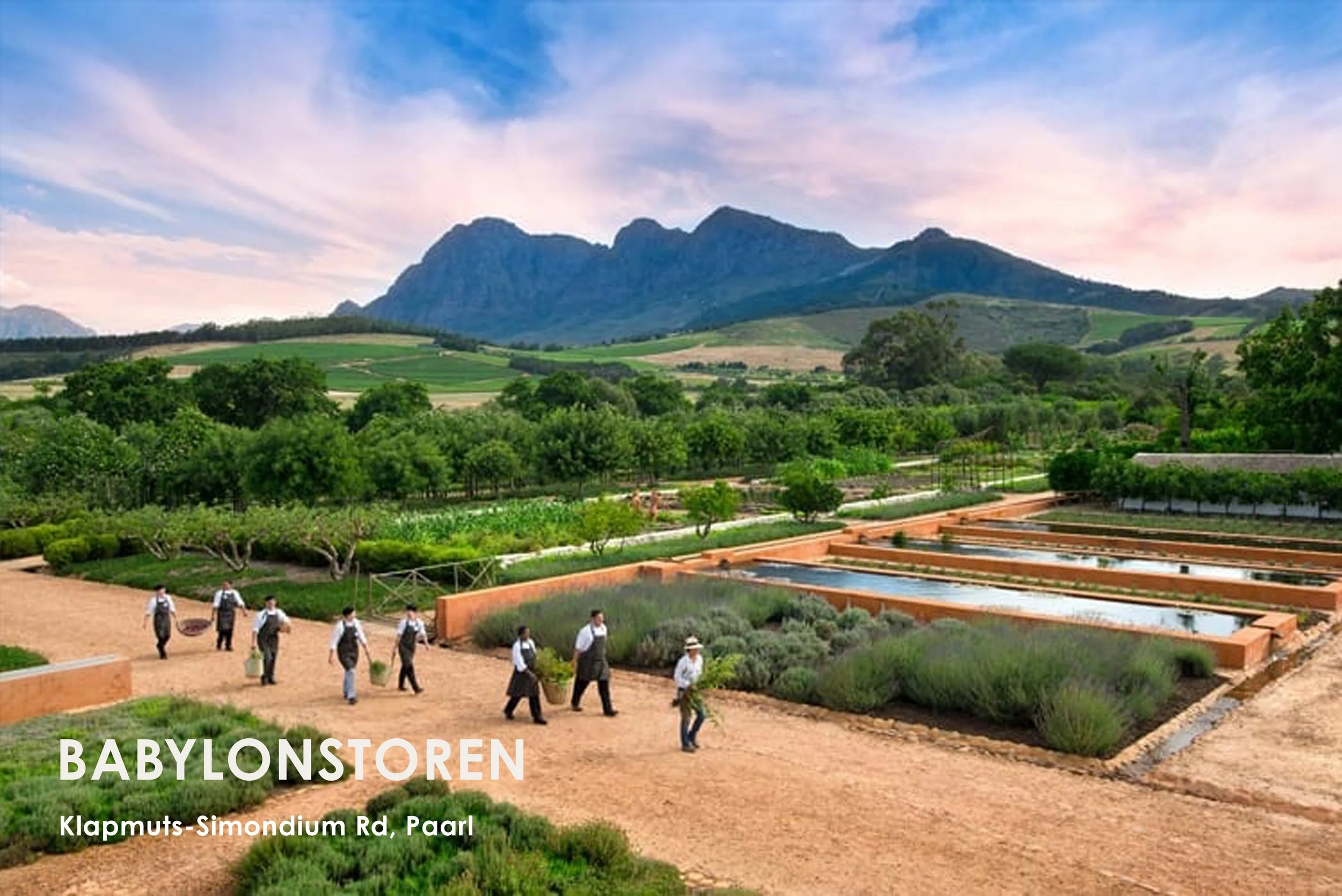 This estate has everything:  wine, olive oil, tea, a never-ending garden, farm animals, workshops & tours, the Scented Room, Milk Room, Meat Room, Lekker Room, bakery, homeware, hotel & spa, and two restaurants (Greenhouse and Babel).