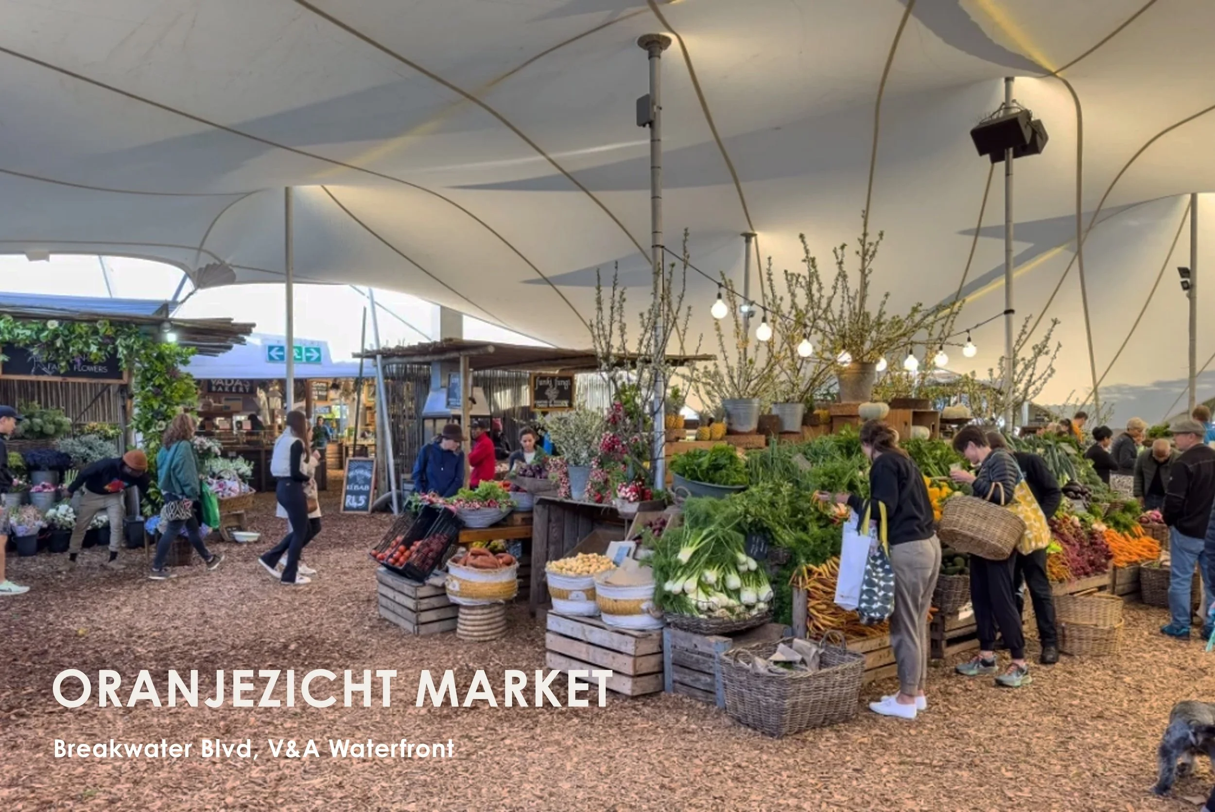 Established by Oranjezicht City Farm in 2013 and relocated to Granger Bay within the V&A Waterfront precinct in 2015, our farmers market has become the largest of its kind in Cape Town. Supporting over 40 local farmers and 80 artisanal food traders, 
