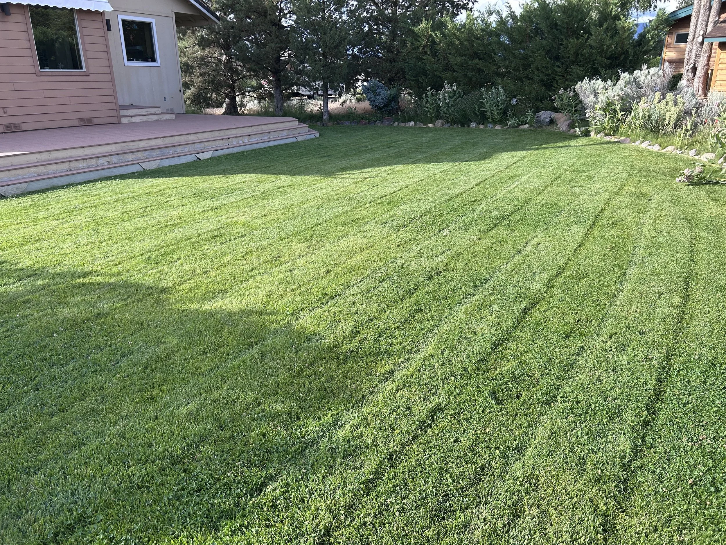 A well-maintained green lawn with freshly mowed stripes, adjacent to a house with a wooden deck and surrounded by trees and plants.