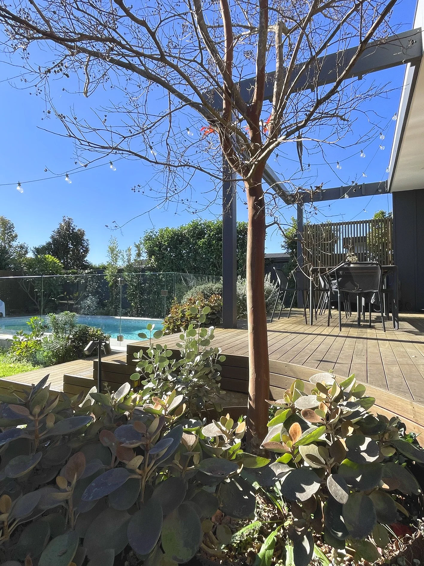 garden.jpg