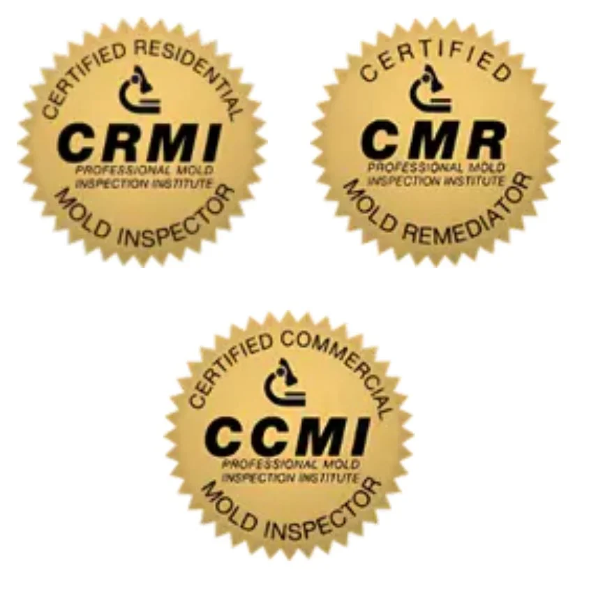 CA Mold Solutions Van