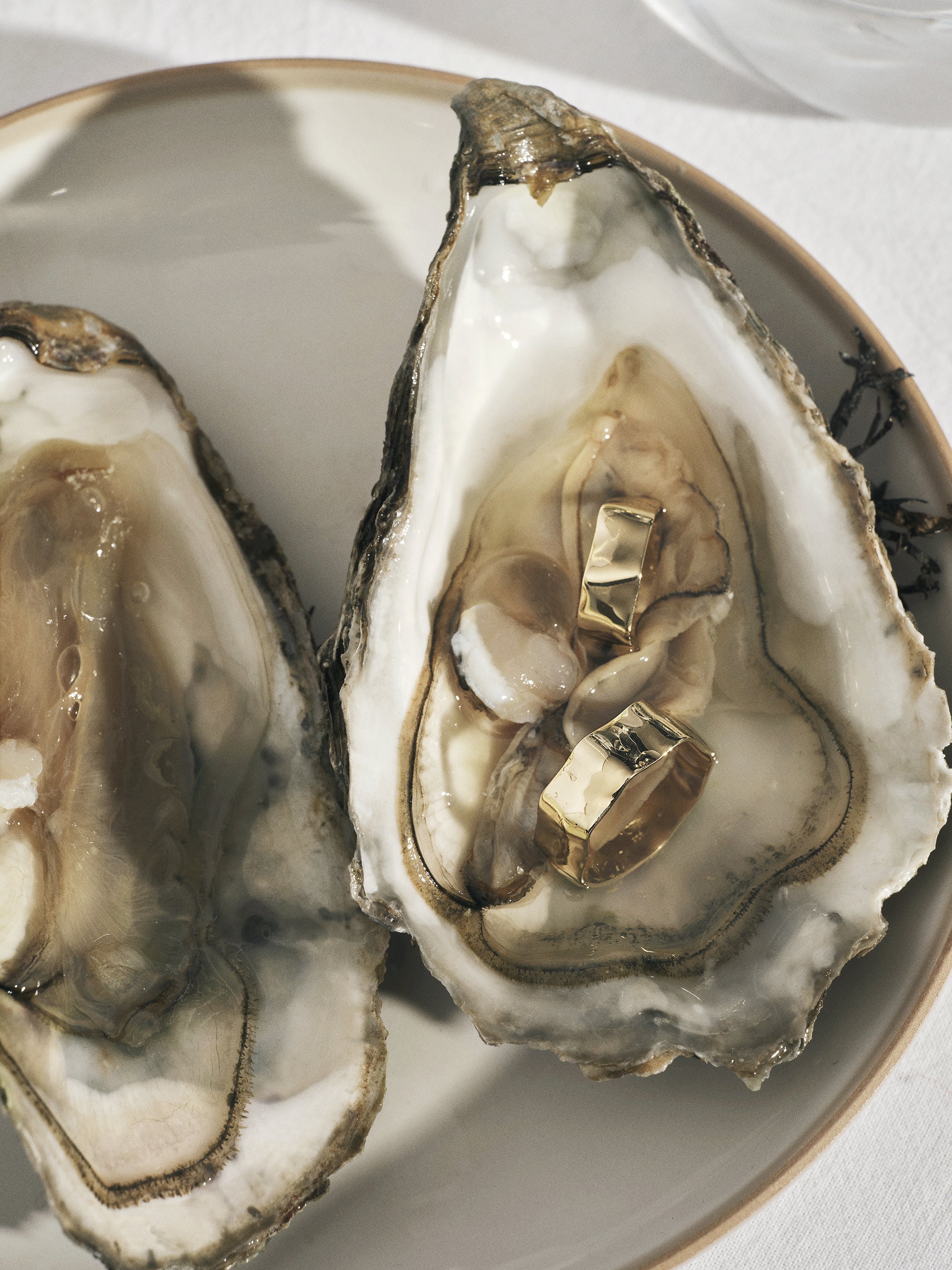 Two opened oysters on a plate with gold rings placed inside one oyster.