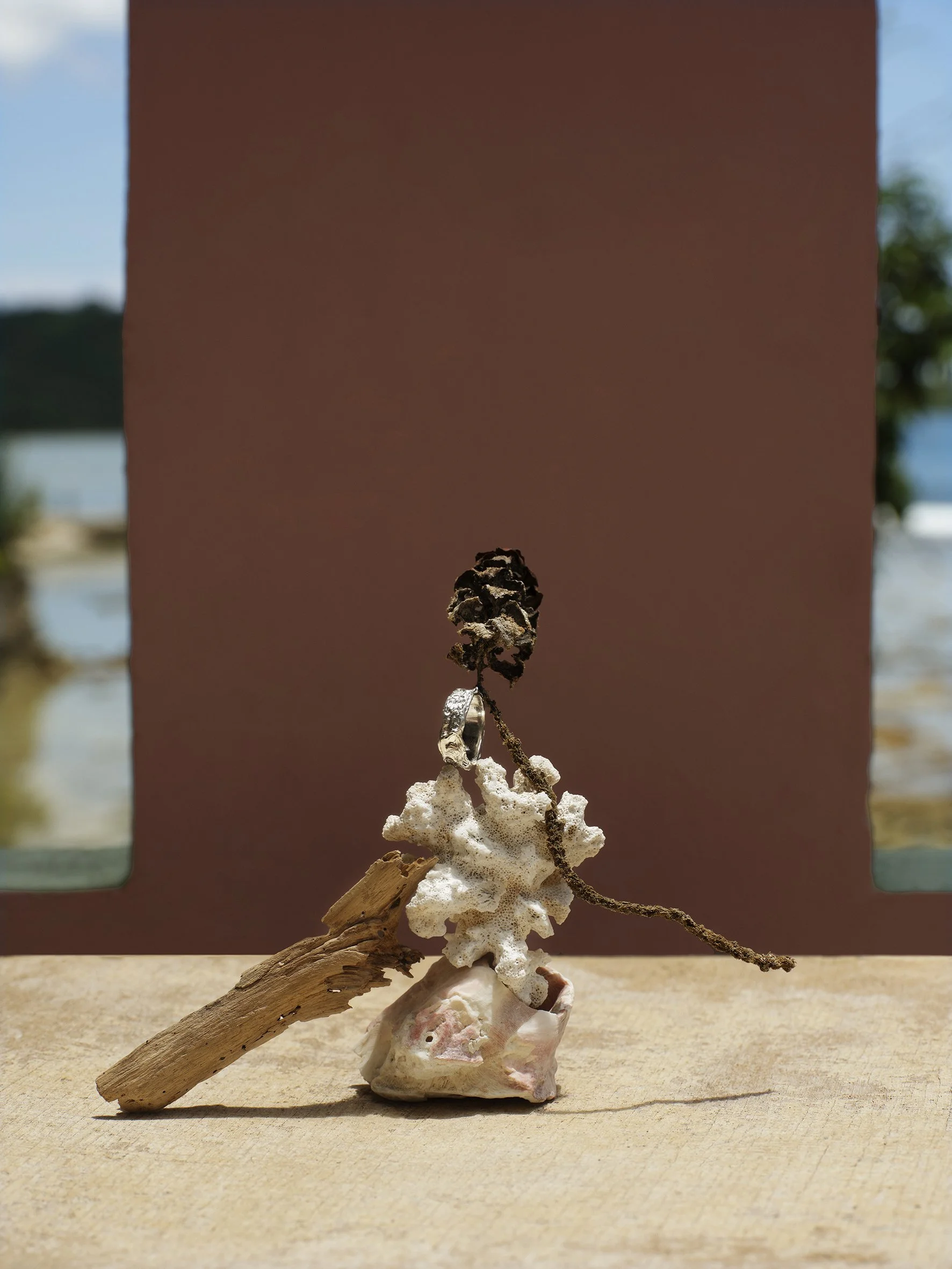 A jewelry necklace displayed on natural coral, wood, and a shell on a wooden surface with a pink backdrop.