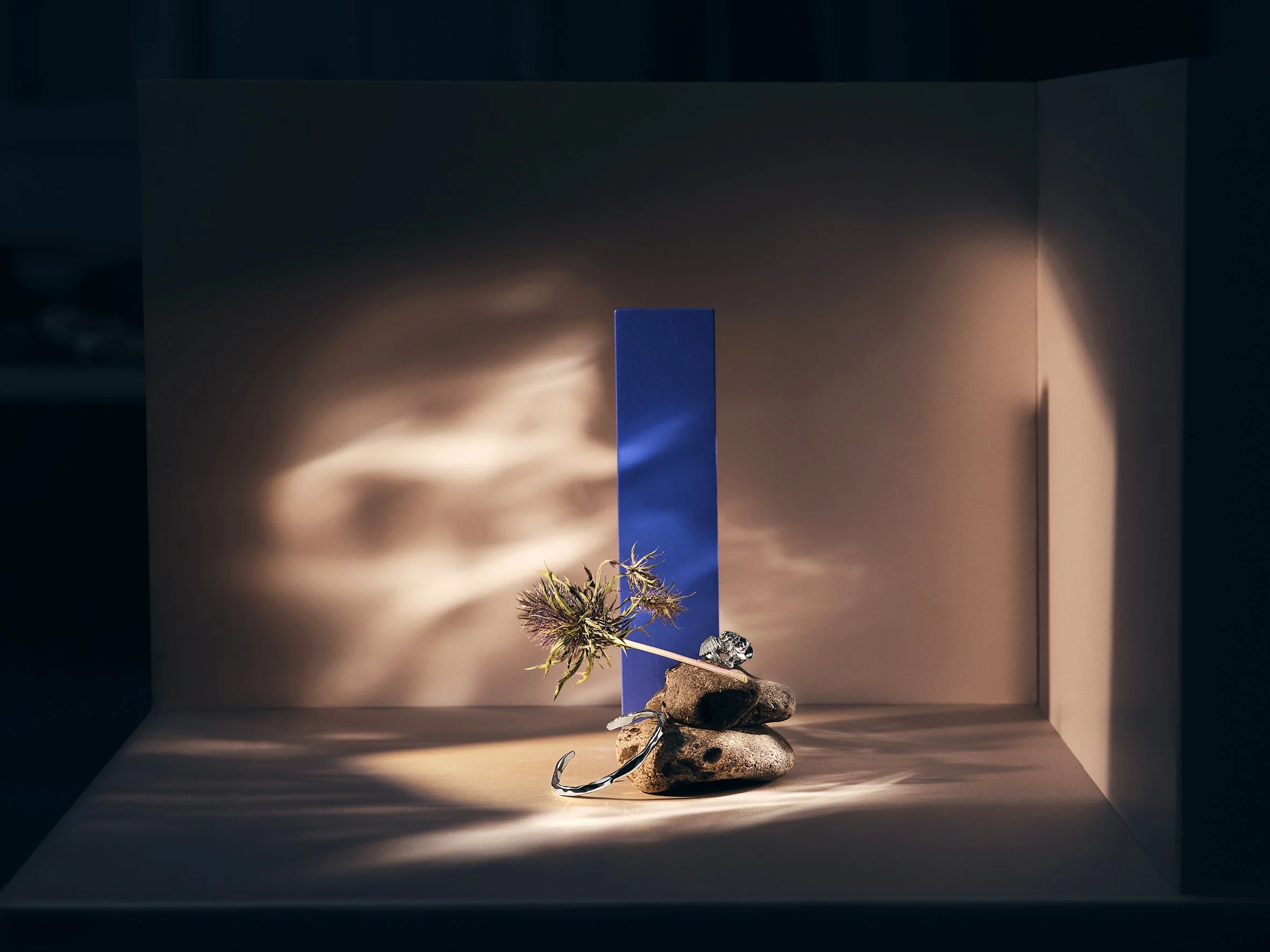 Artistic display with a stack of rocks, a plant with thin, spiky leaves, and a small metallic object, set against a backdrop with a blue vertical element and dramatic lighting creating shadows and reflections.