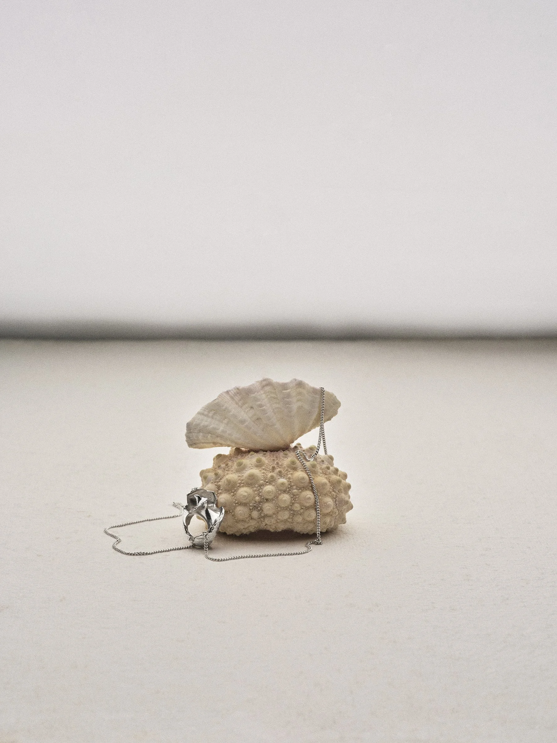 A seashell and coral piece with a silver necklace and ring on a white surface.