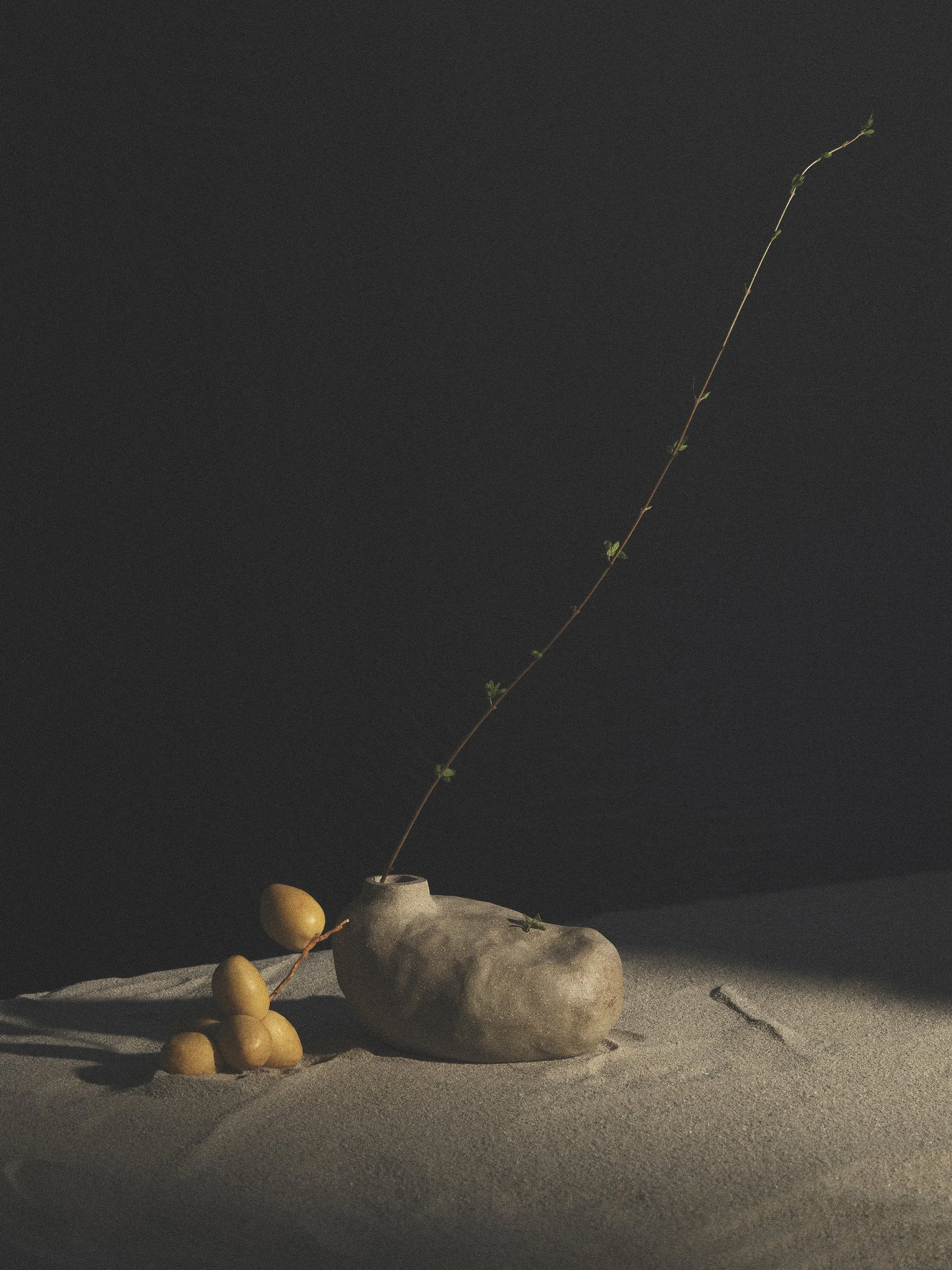 A still life composition featuring a stone vase with a long, thin branch with small green leaves, and several yellow oval stones on a sandy surface against a dark background.