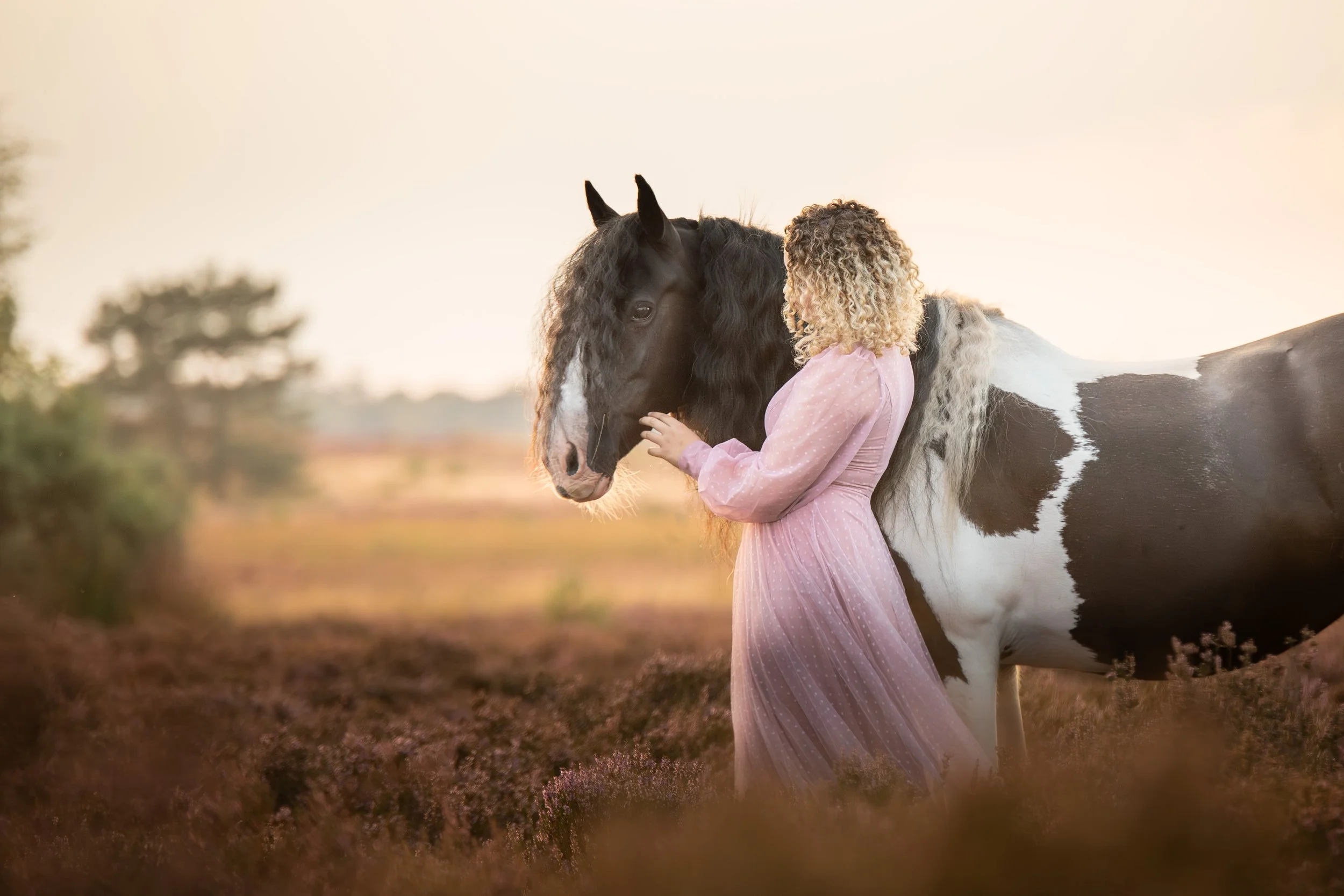 paard en vrouw met roze jurk in de heide.jpg