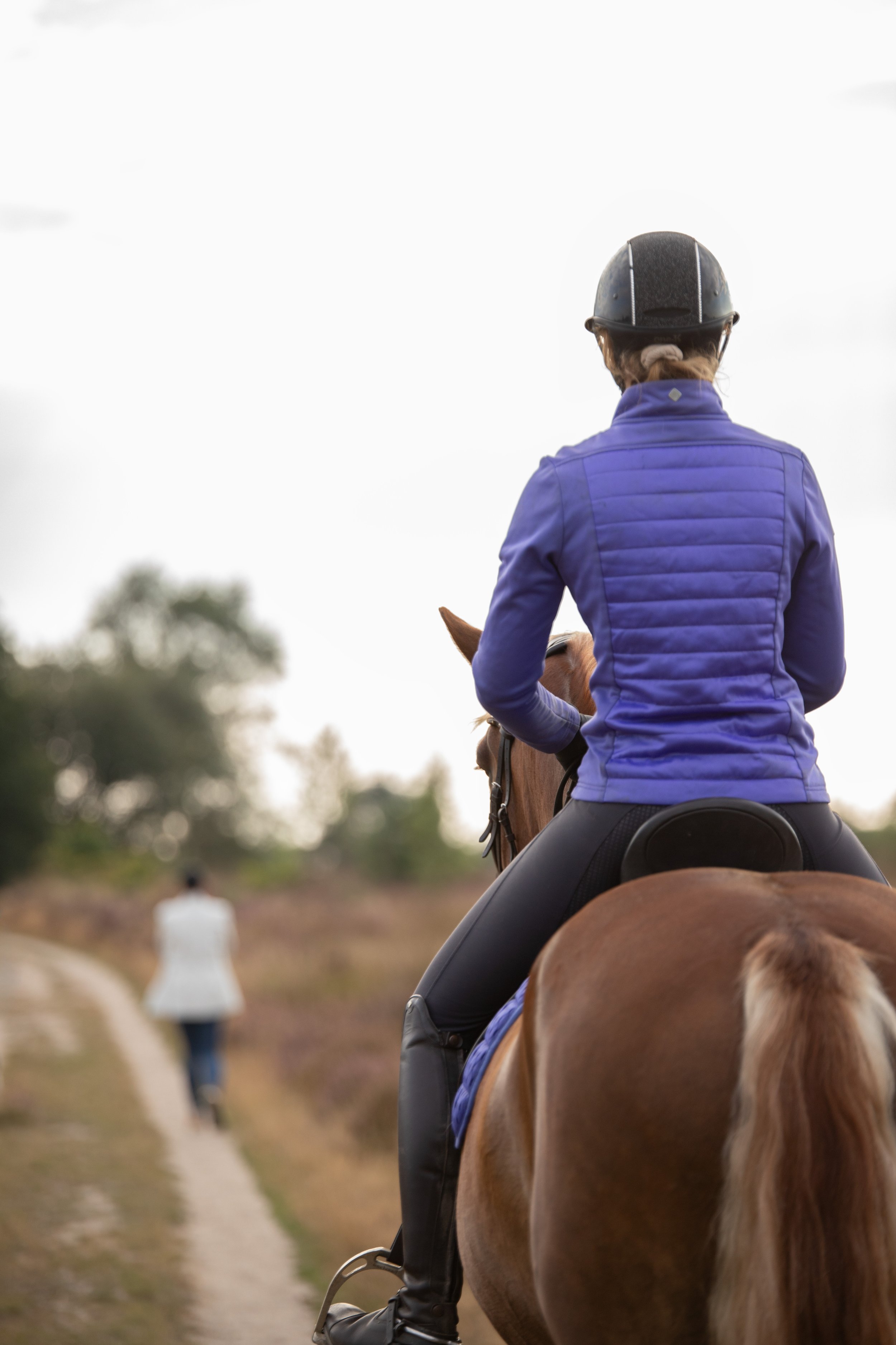 paardenfotografie in friesland heide.jpg