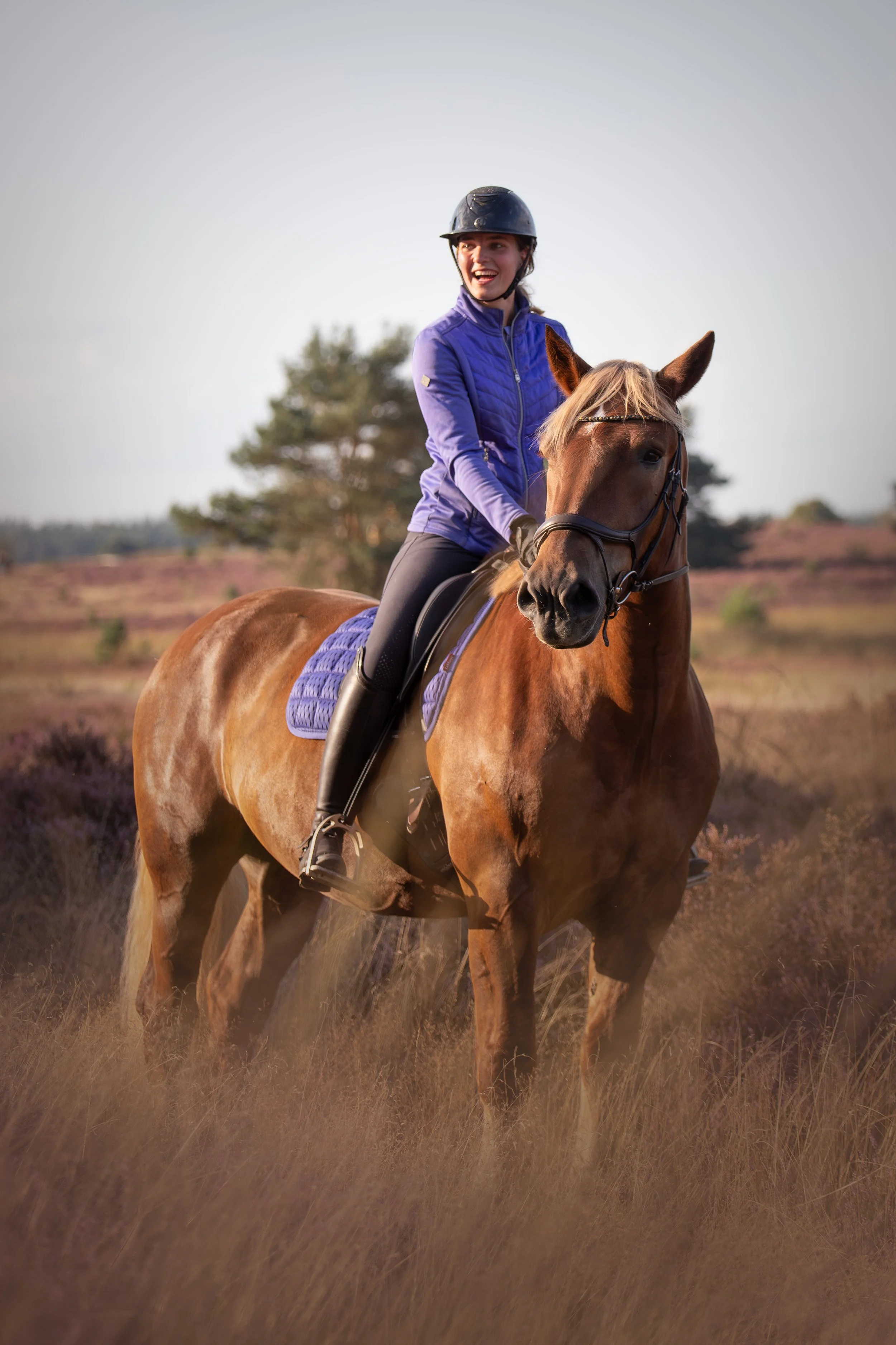 portret van een ruiter en paard tussen de heide.jpg